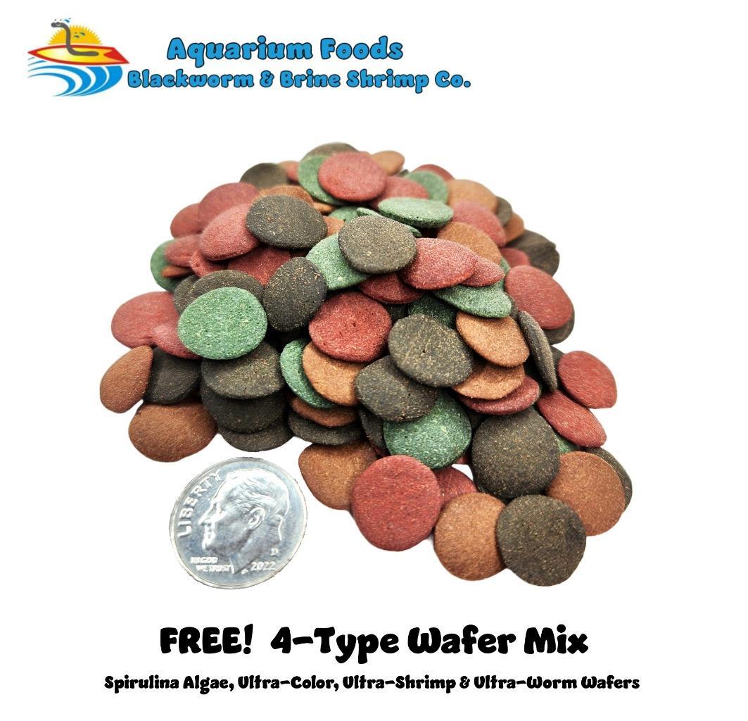 18mm-3/4″ Large Spirulina Algae Sinking Wafers, Tropical Fish