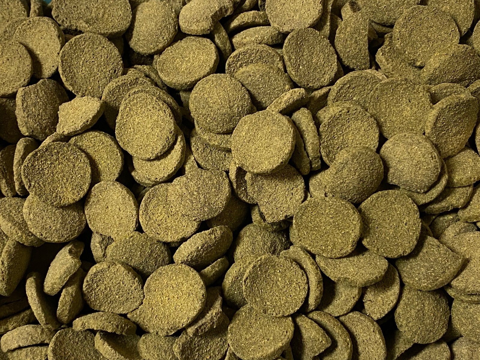 ABF SPIRULINA WAFER,VEGGIE WAFER,Algae Wafers,Snails,Pleco,Catfish,Shrimp,ABF27