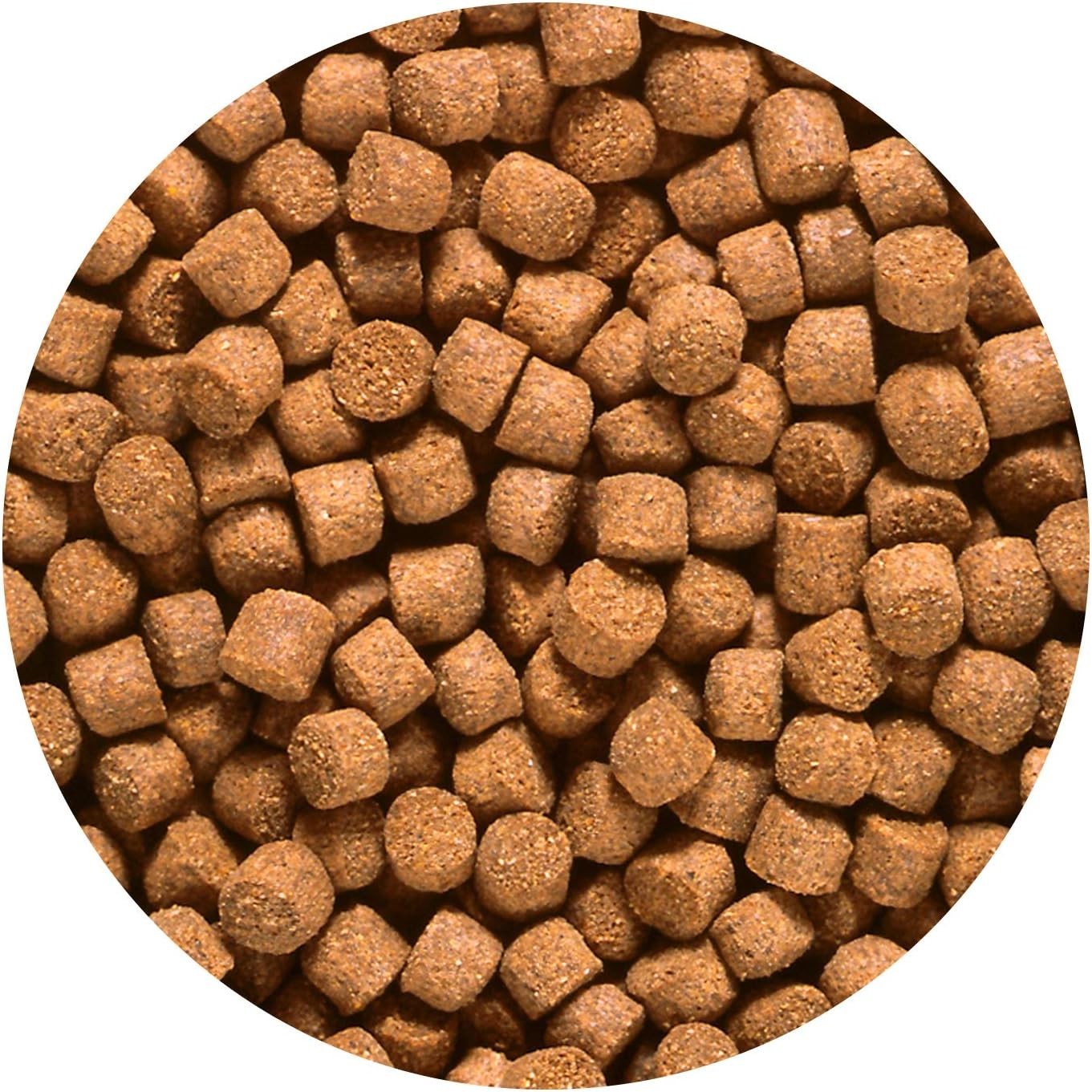 Astaxanthin-Rich Cichlid Pellets, 2.2 lbs