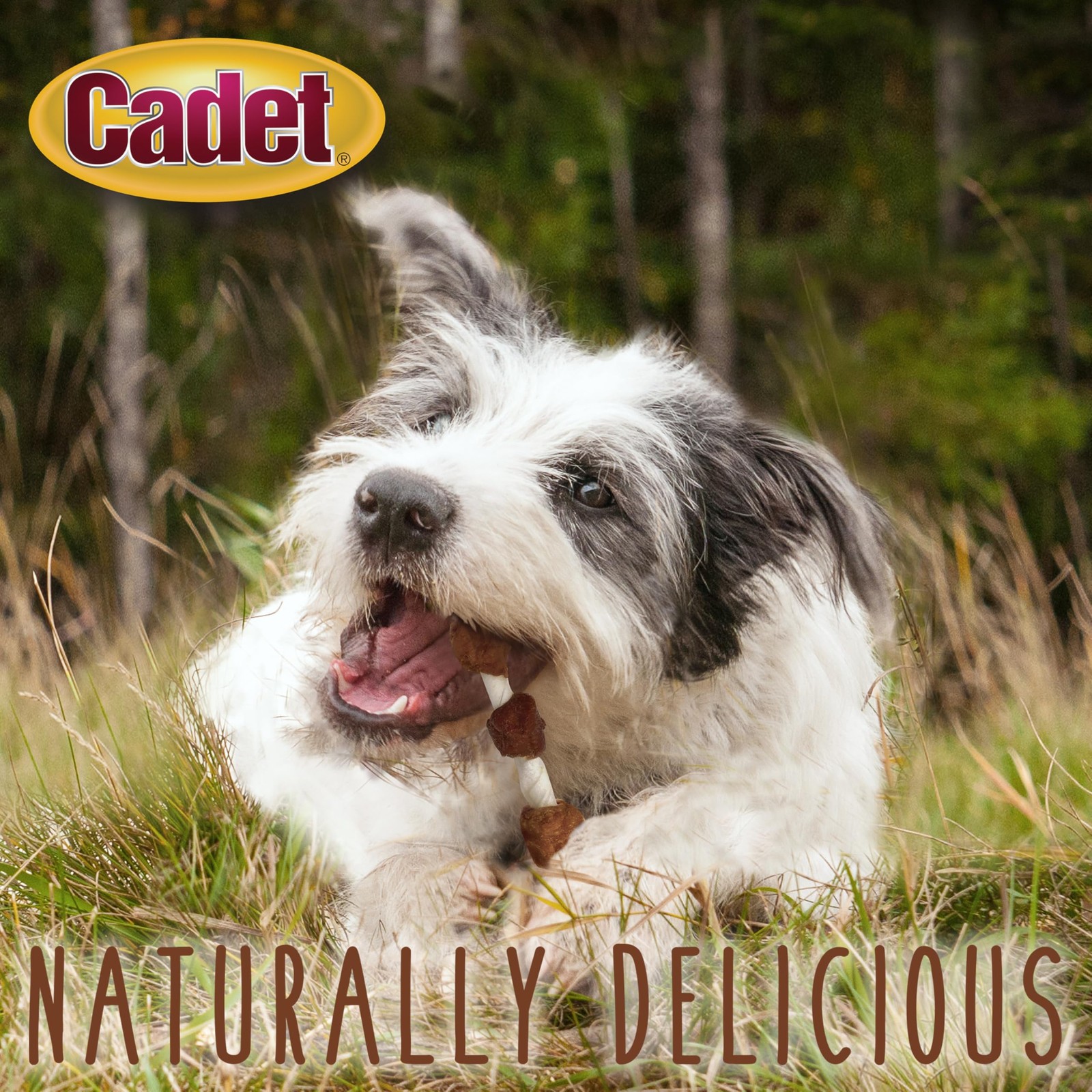 Cadet Gourmet Beef Hide Kabobs 4Oz Long Lasting Dog Treats Natural Healthy Chews