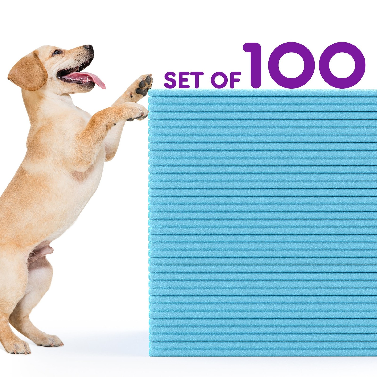 Gianna 100 Count Dog Pee Pads 22″x22″, Disposable Training Puppy Pet Piddle