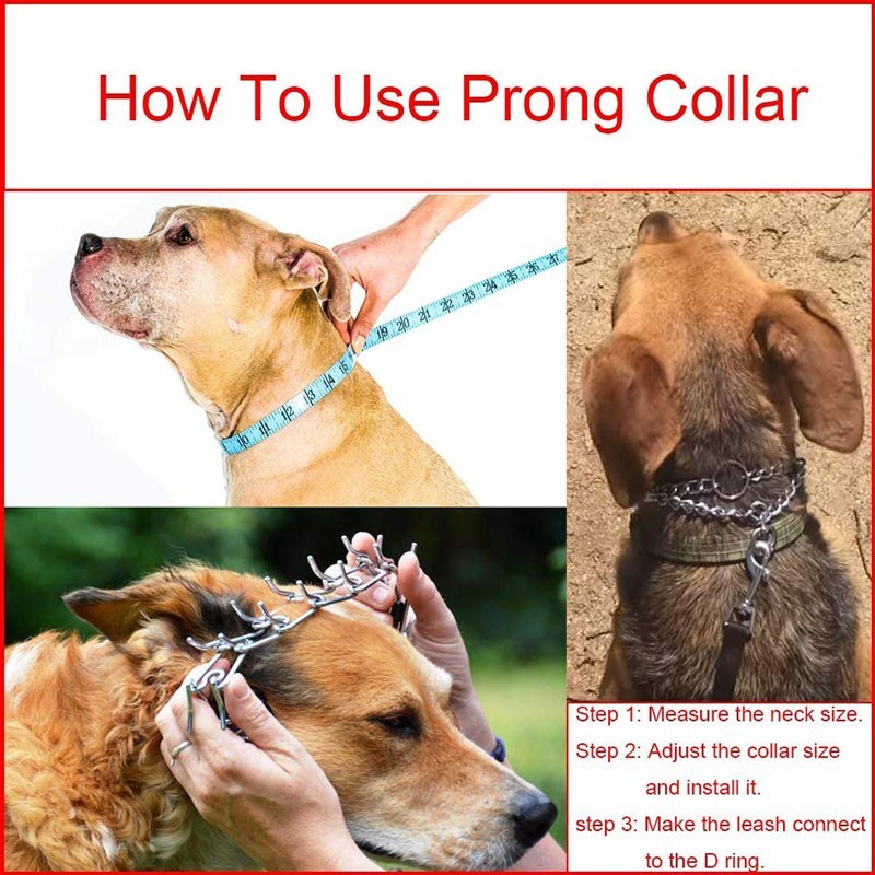 Metal Adjustable Dog Training Prong Collar Pinch Choke Chain Steel Metal Large