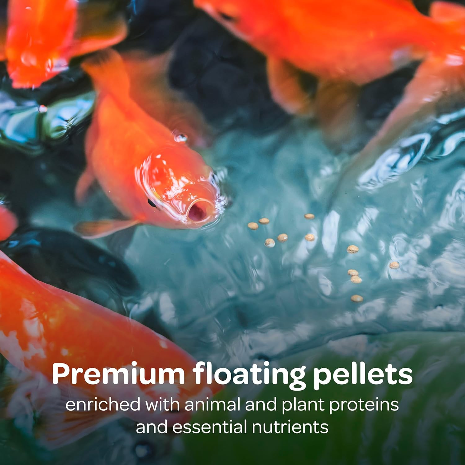 Koi’S Choice Koi Floating Fish Food, for Koi, Goldfish and Pond Fish, 3 Pounds