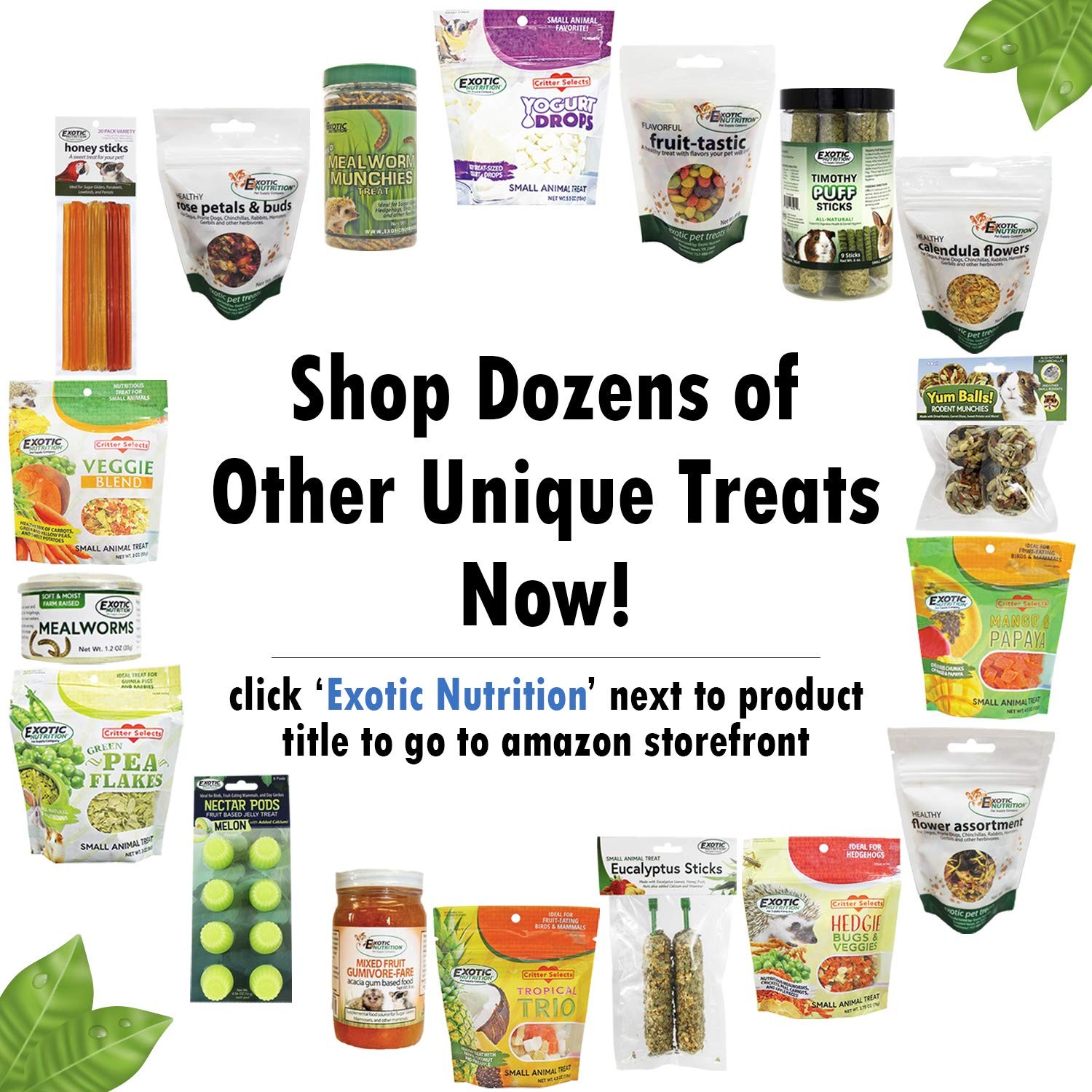 Herbivore Treat (3 oz.) – Healthy Natural Mixed 3 Ounce (Pack of 1), standard