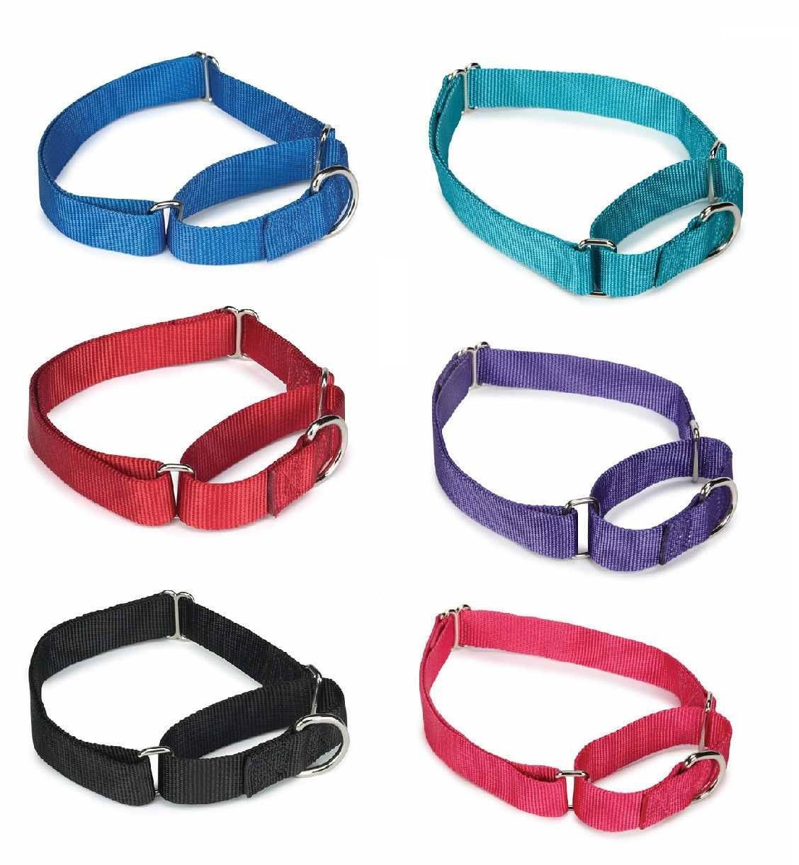 Bulk Lot Martingale Dog Collars at Wholesale Prices Nylon Collar Multi Packs