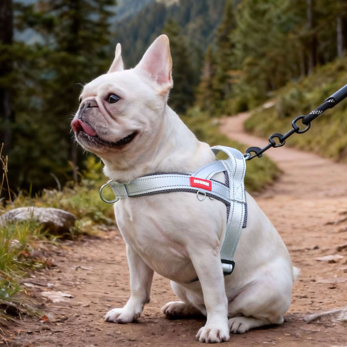 Dog Pet Vest Harness No Pull w Handle Adjustable Control Reflective S M Large XL