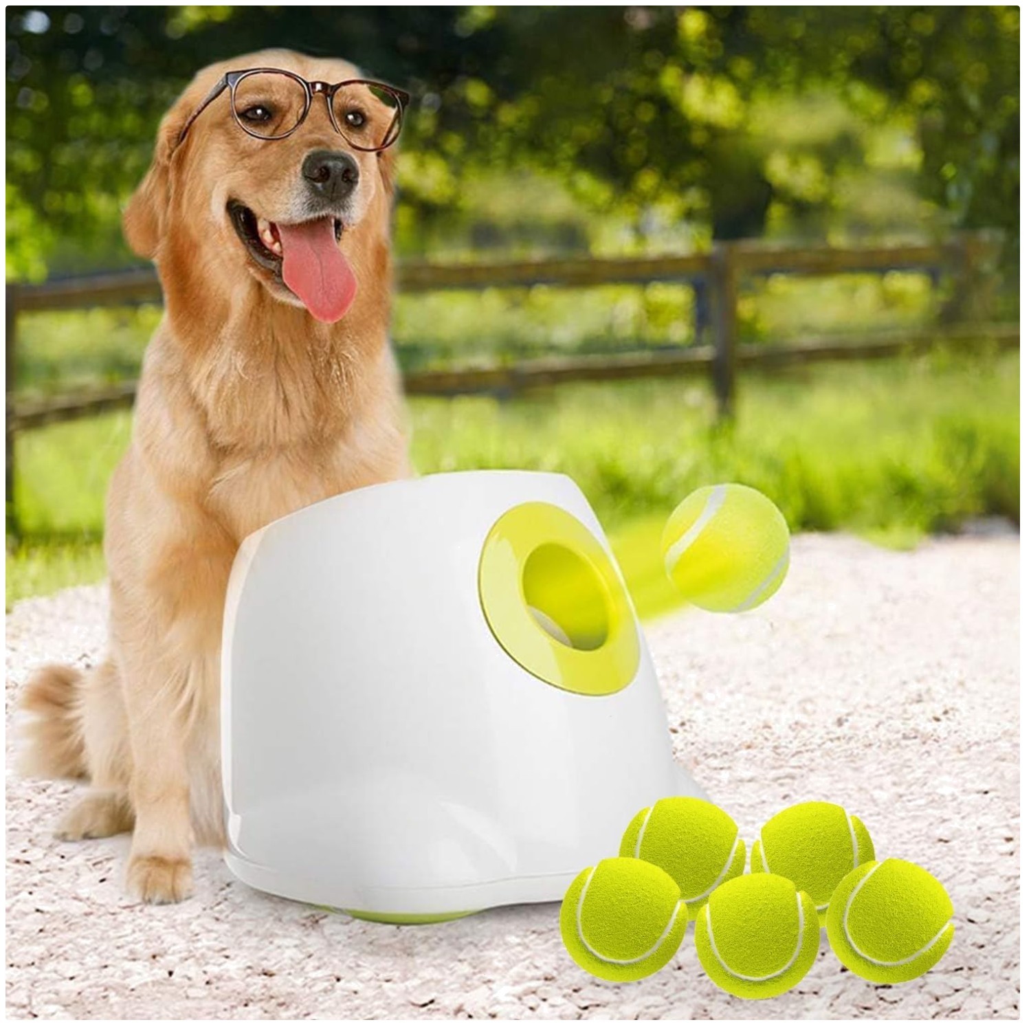 Adjustable Distance Ball Launcher for Energetic Dogs