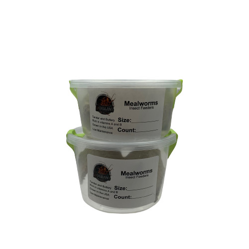 Live Mealworms Size: Mini Qty:50 to 1,000 Free Shipping Available or FedEx!!!