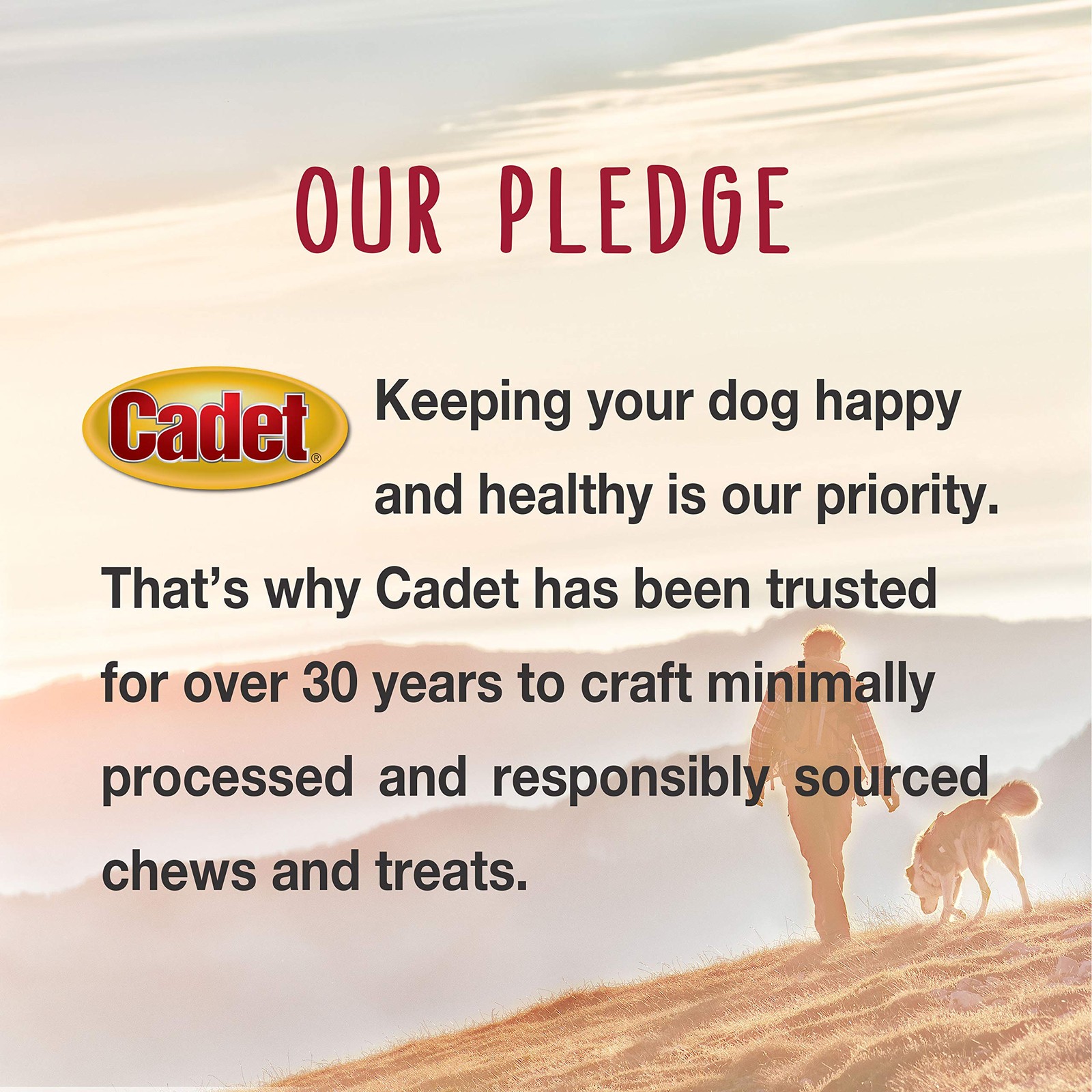 Cadet Gourmet Beef Hide Kabobs 4Oz Long Lasting Dog Treats Natural Healthy Chews