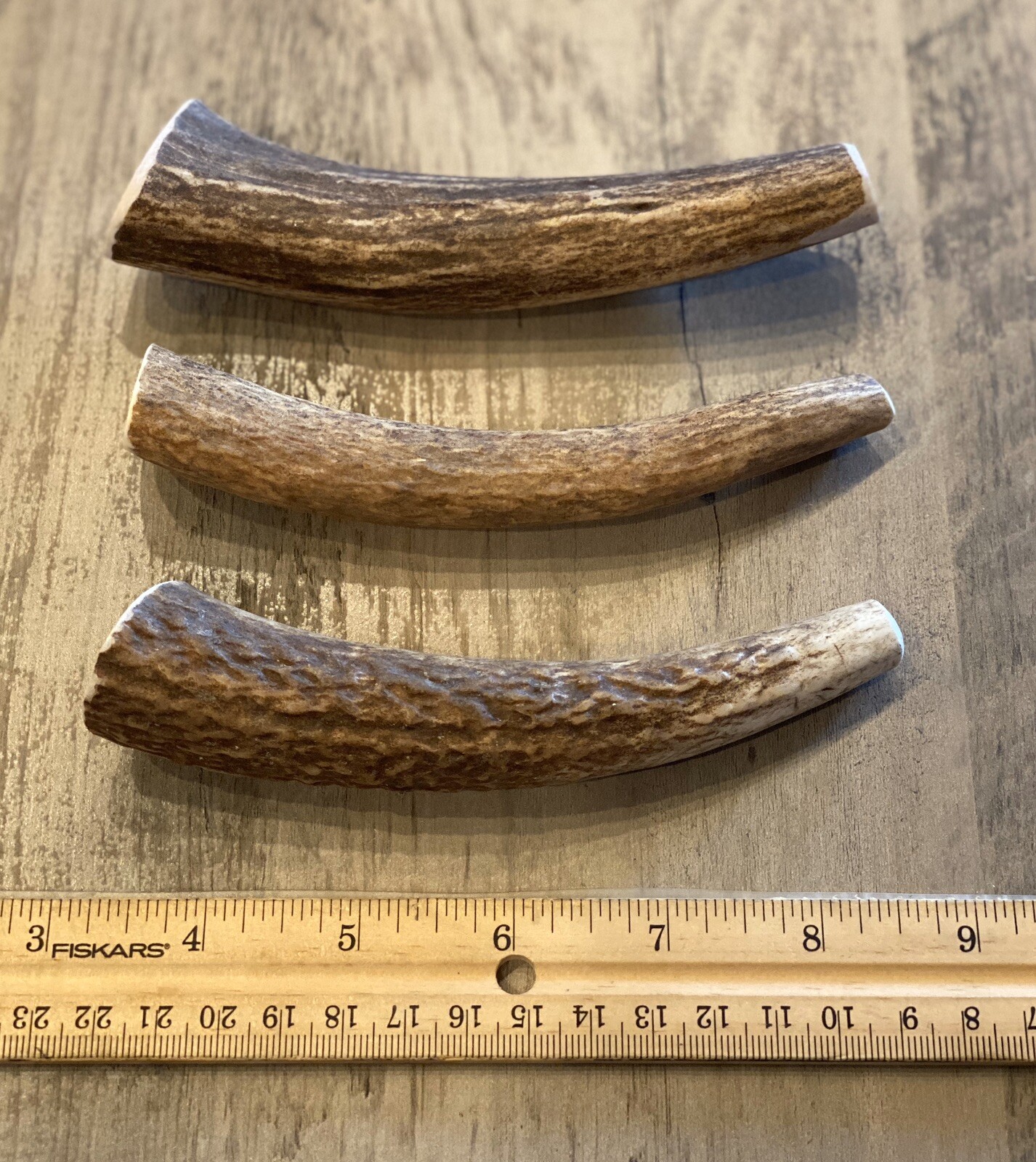 (3 PACK) MEDIUM Elk/Deer Antler Premium Dog Chews **OREGON ANTLER WORKS**
