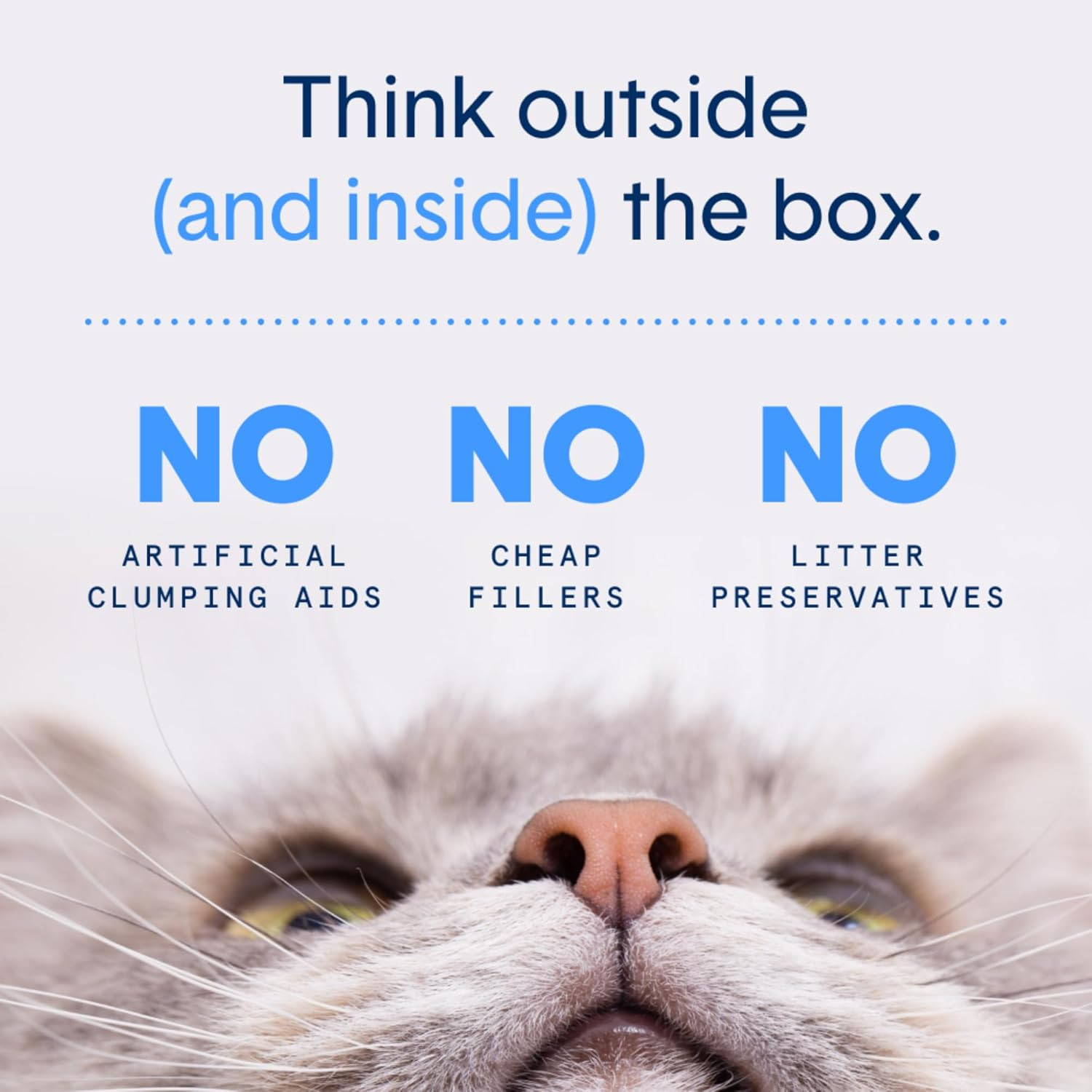 Boxie® Unscented 30 Day Natural Odor Control Cat Litter, 40Lb Clumping Clay Kitt