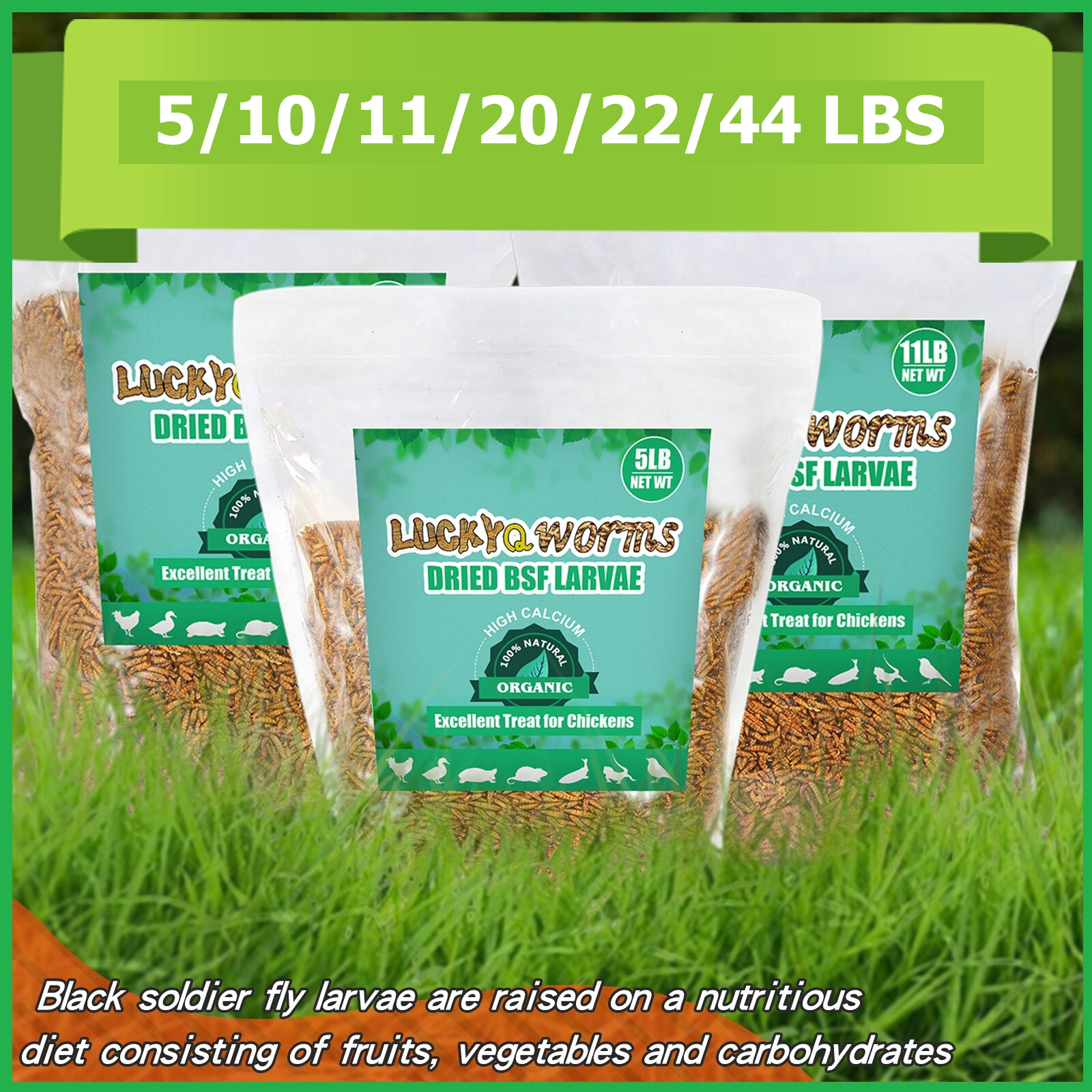 5-44LB Dried Black Soldier Fly Larvae Mealworms for Chicken Birds Treats Premium