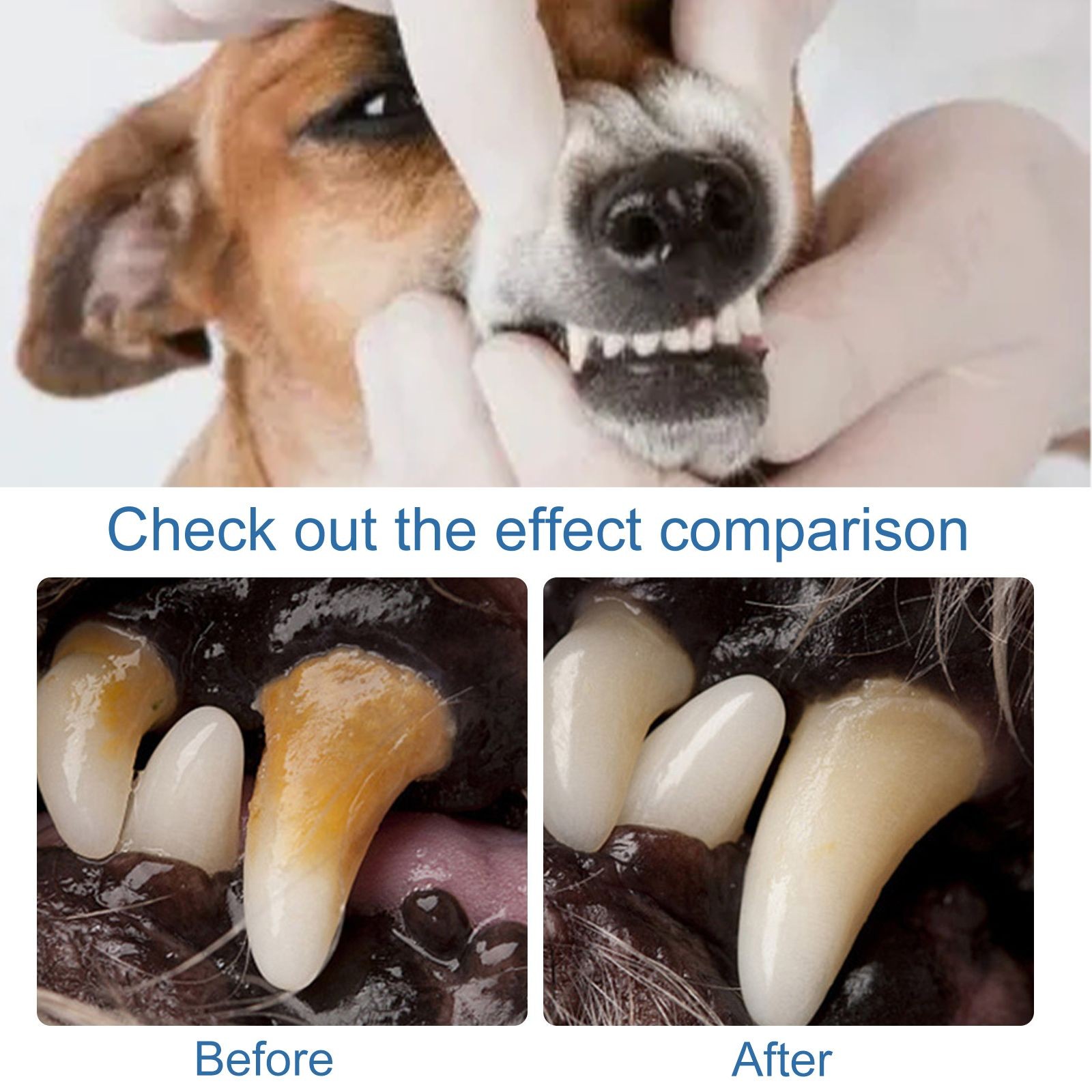 Daily Pet Oral Foam Spray for Dogs & Cats – Fresh Breath & Clean Teeth