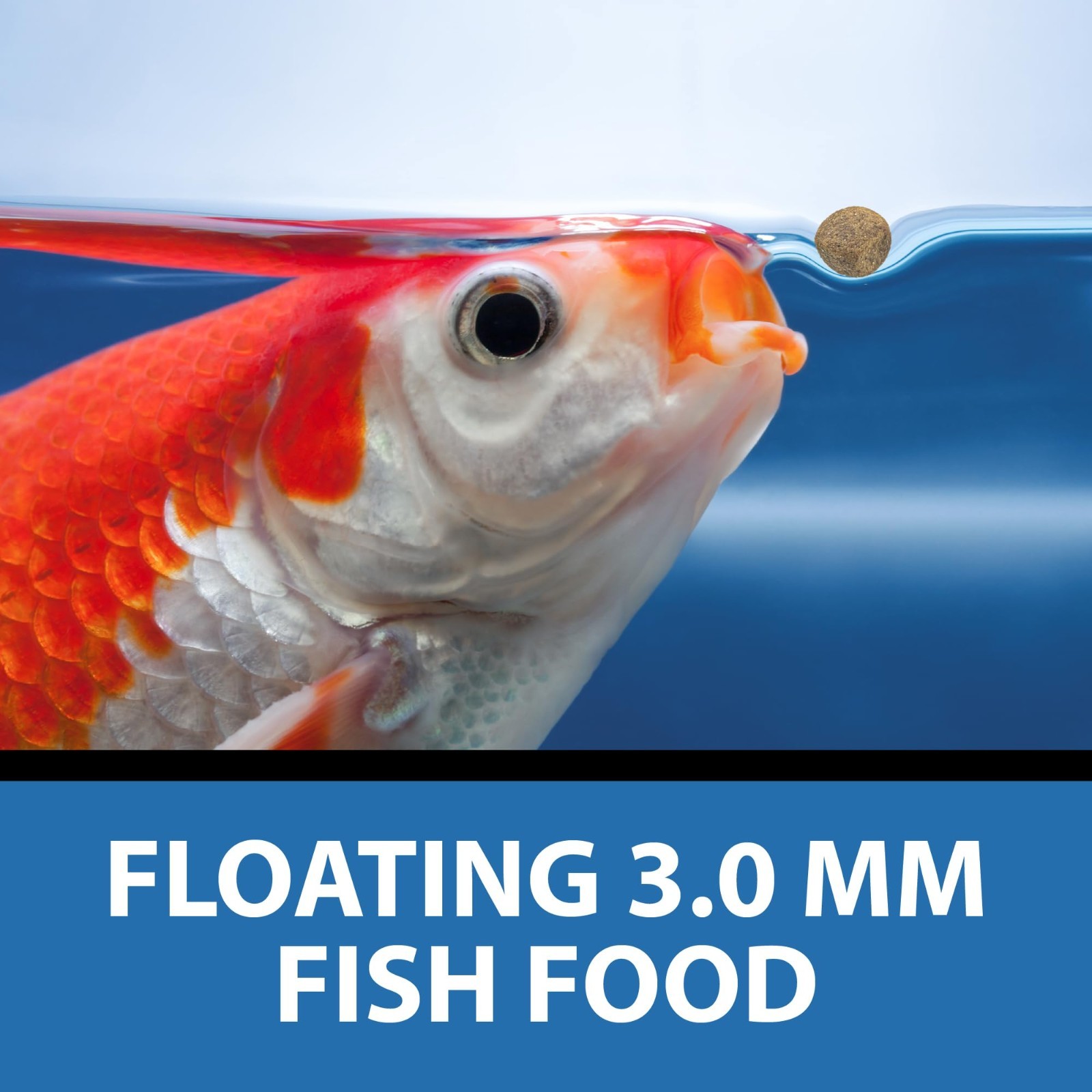 CrystalClear Staple Pond Fish Food for Healthy Koi & Goldfish, Protein Packed Fl