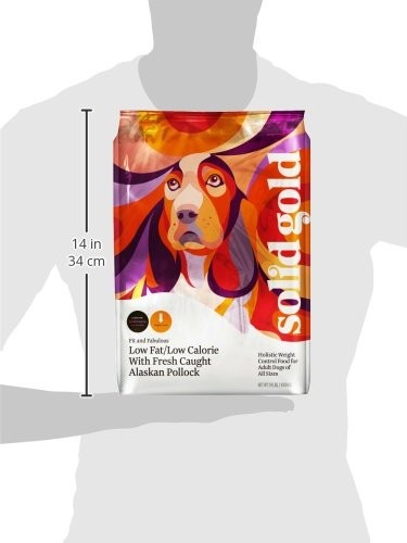 Solid Gold Healthy Weight Management Dry Dog Food for Adult & Senior 4 Pound