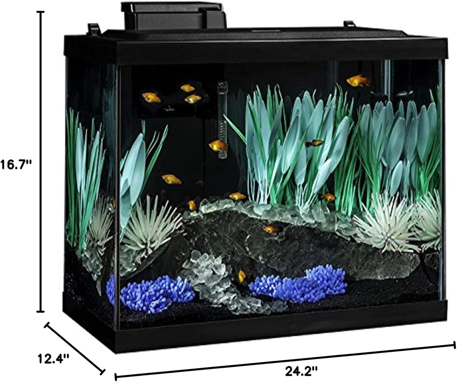 Colorfusion Aquarium 20 Gallon Fish Tank Kit Includes LED Lighting and Decor