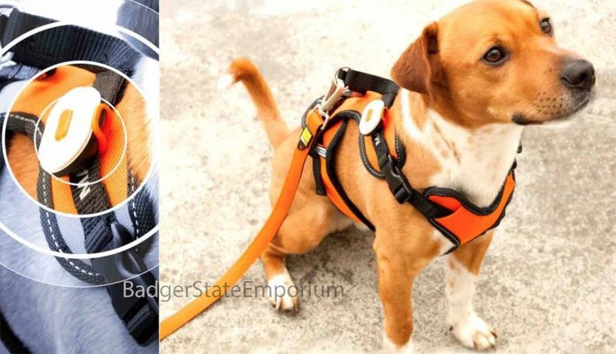 Max & Molly Matrix Ultra LED Safety Light Attaches to Any Dog Pet Collar Harness