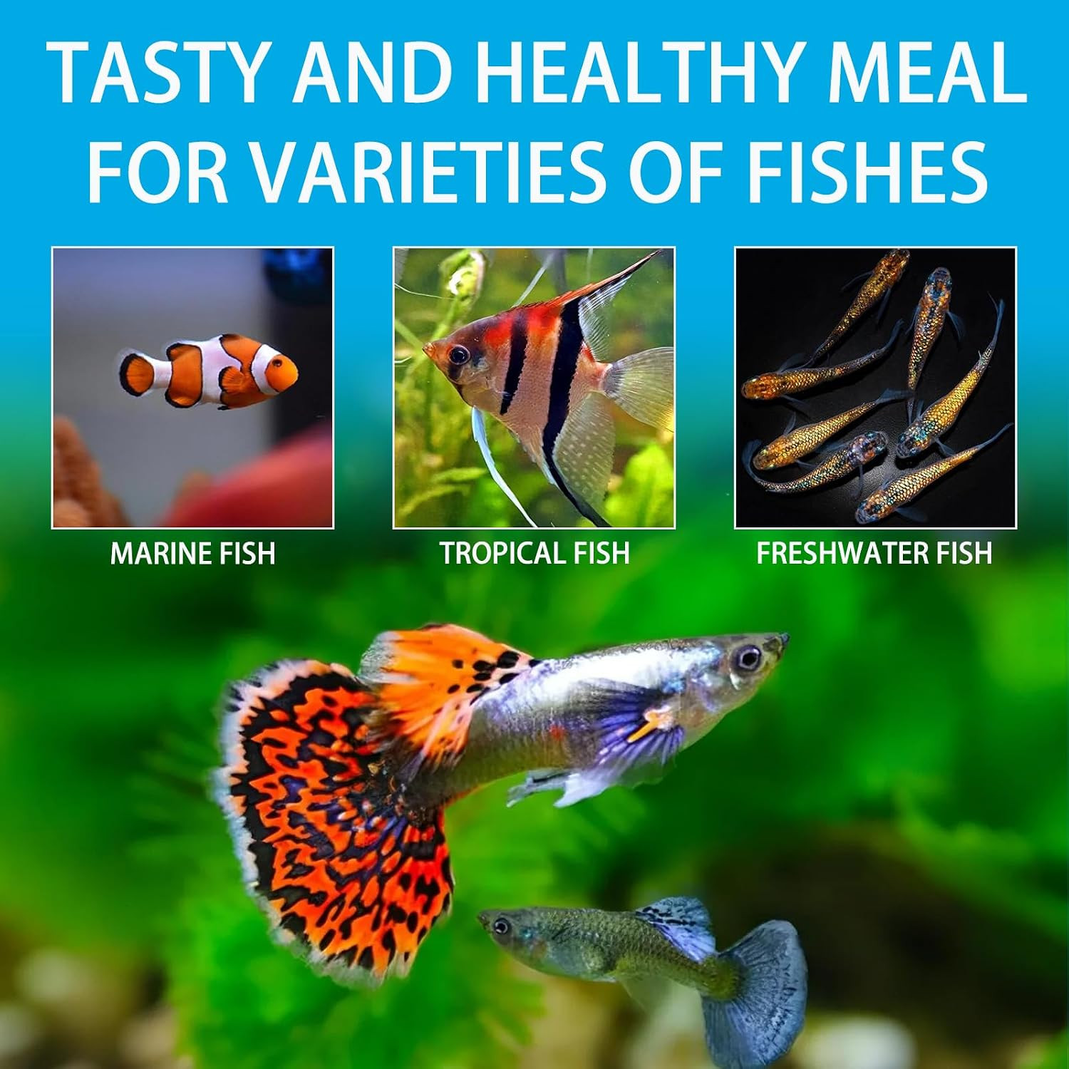 Brine Shrimp Fish Food, Ready to Use Aquarium Fish Food, Non-Living Instant Food