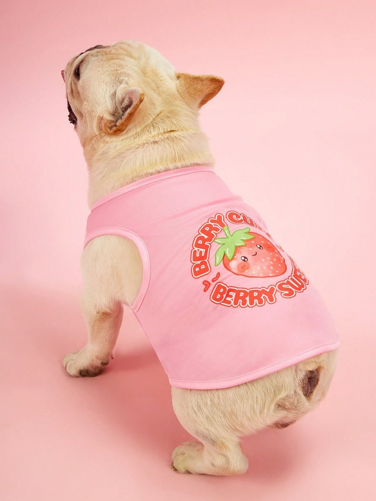 2PCS Small Pet Dog Cat Summer Shirts Vest Clothes Cute Puppy TShirt Coat Apparel