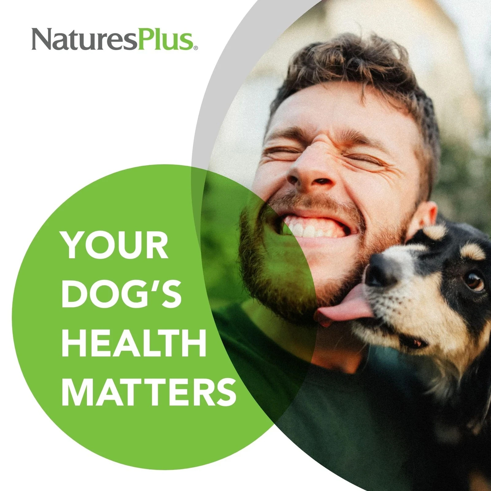 NaturesPlus FurBaby Multivitamin for Dogs – 10.4 oz – Supports Joint Health I…