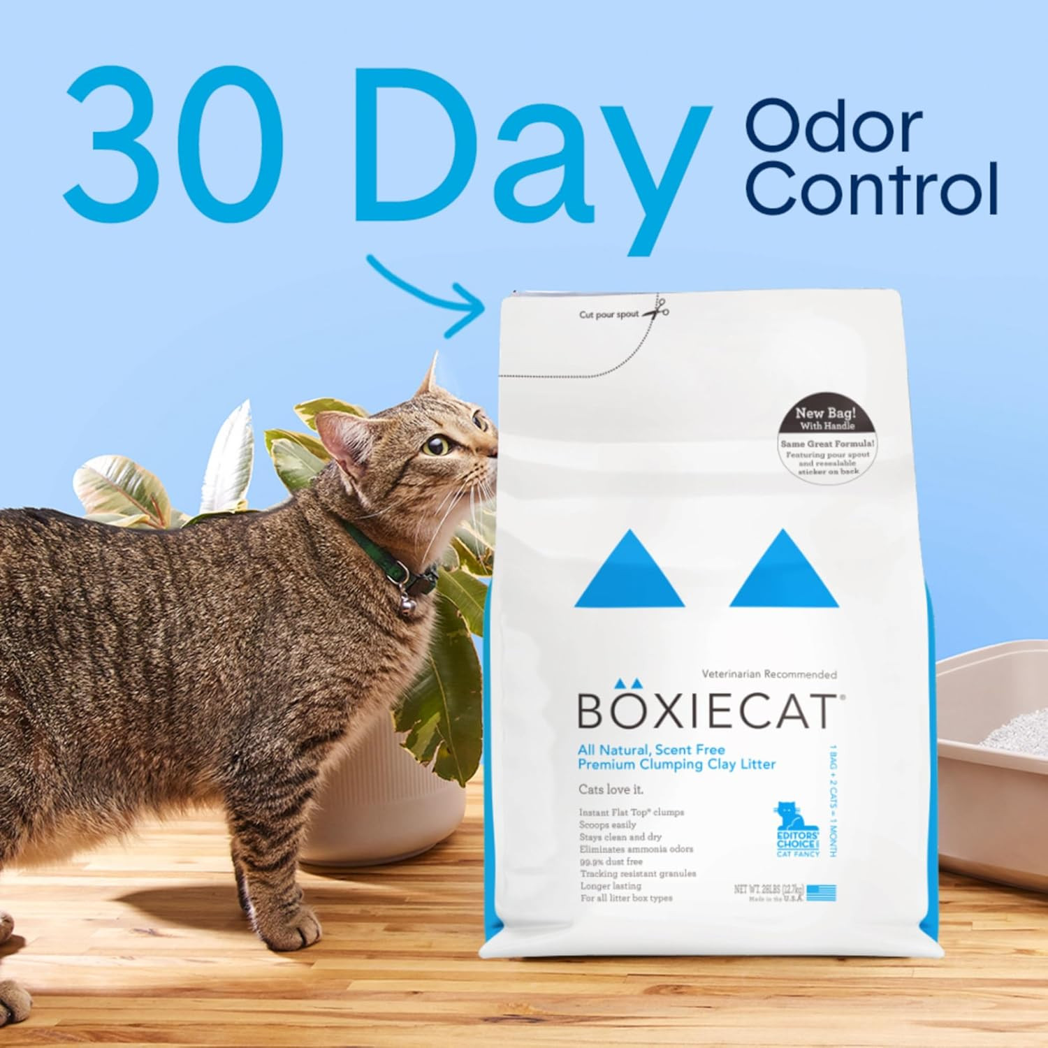Boxie® Unscented 30 Day Natural Odor Control Cat Litter, 40Lb Clumping Clay Kitt