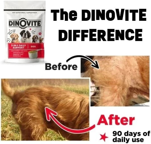 30 Day Supply, Small Dogs, Dinovite Probiotic Supplement for Dogs – (1-18 lbs)