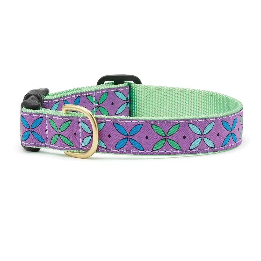 Up Country Dog Collar, Petals Flower, Adjustable, Made In USA, XS S M L XL XXL