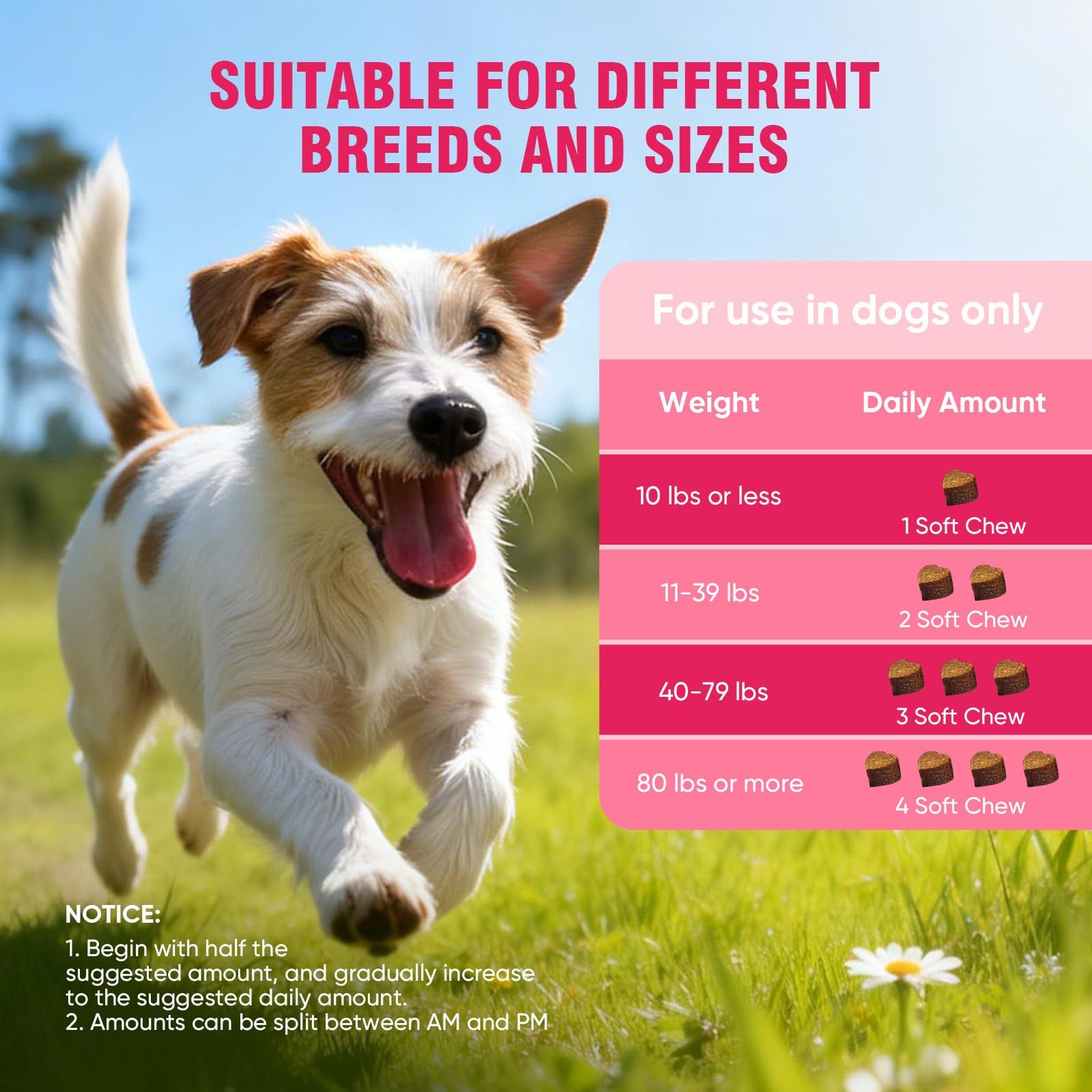 Ttlxrl Dog Allergy Chews For Itchy Support 200 Soft Chews