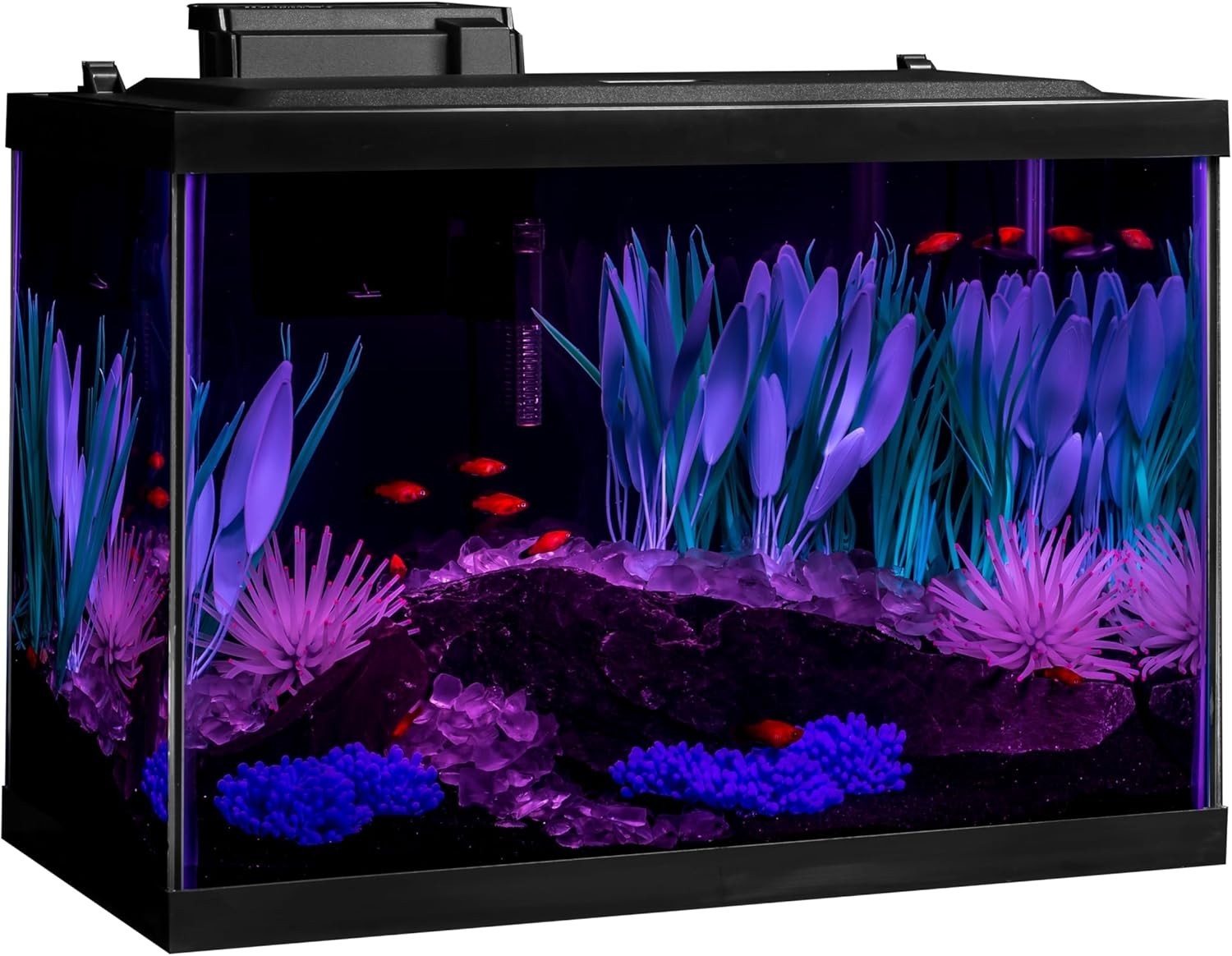 Colorfusion Aquarium 20 Gallon Fish Tank Kit Includes LED Lighting and Decor