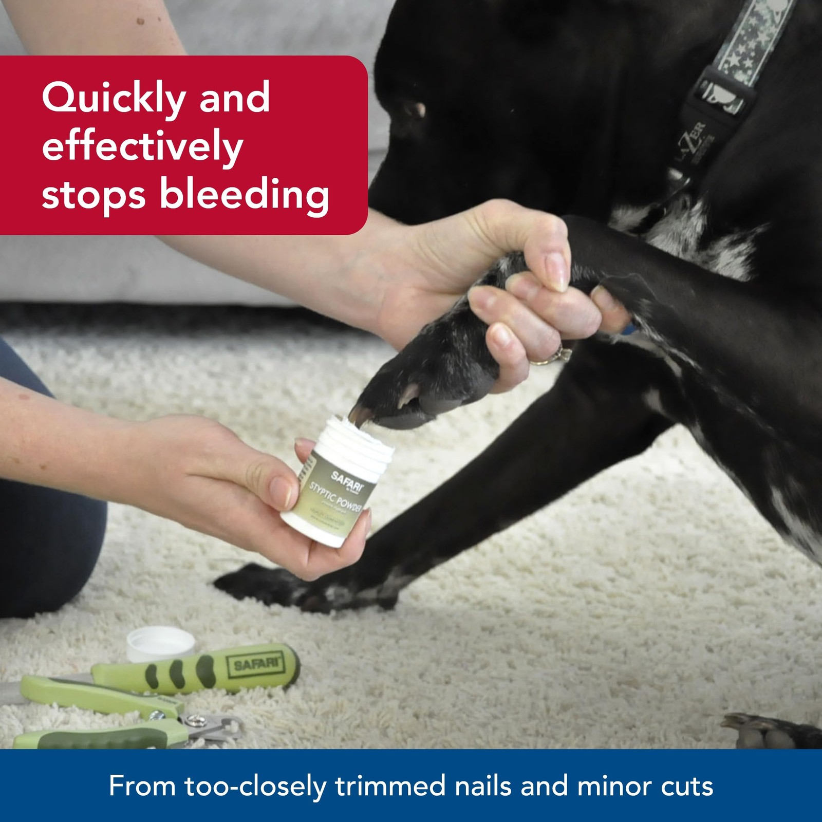 Pet Safari Pet Styptic – Clotting for Pet and Dog First Aid Kit and Grooming …