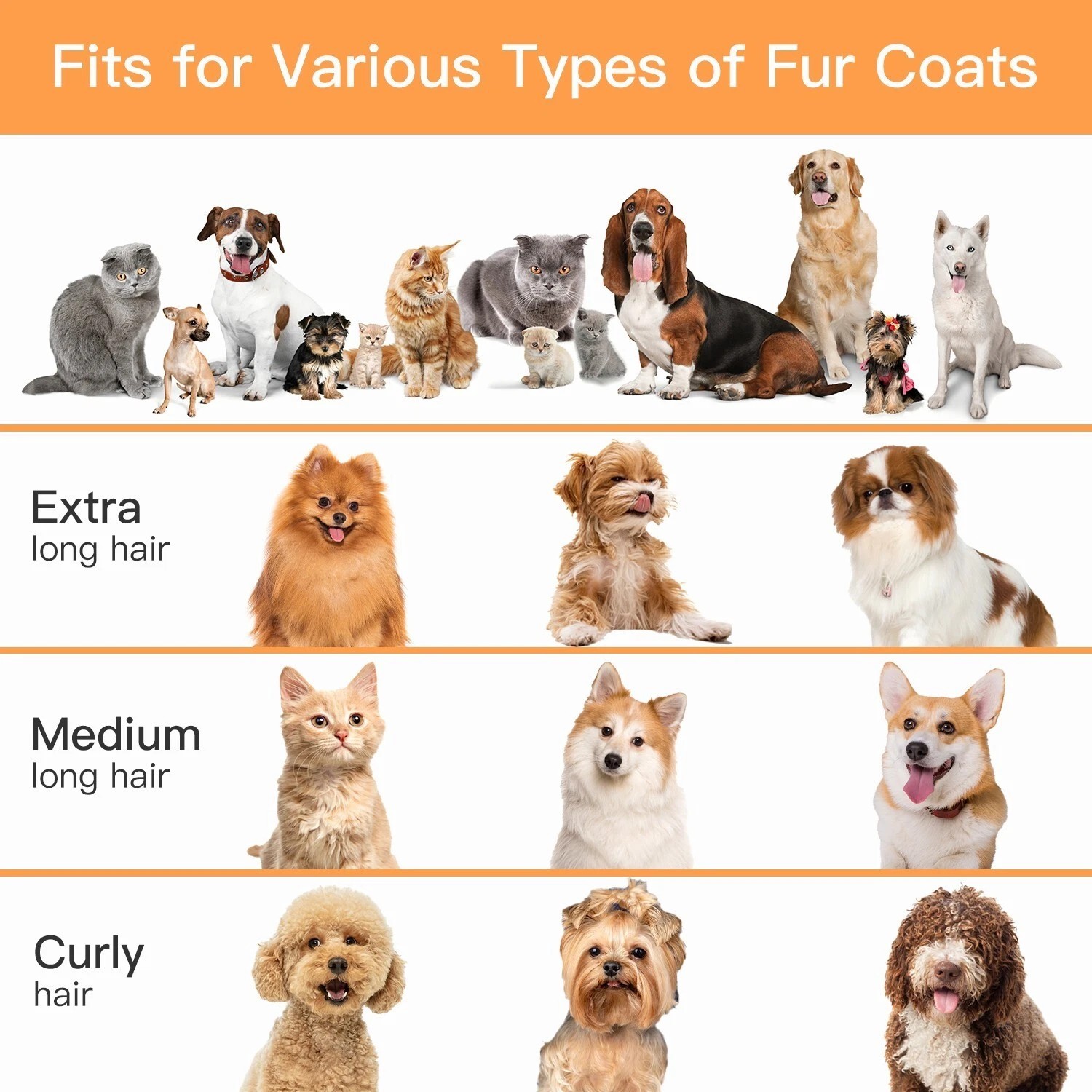 Pet Grooming Vacuum Kit for Dogs & Cats Low Noise Dog Hair Clipper Brush Vacuum
