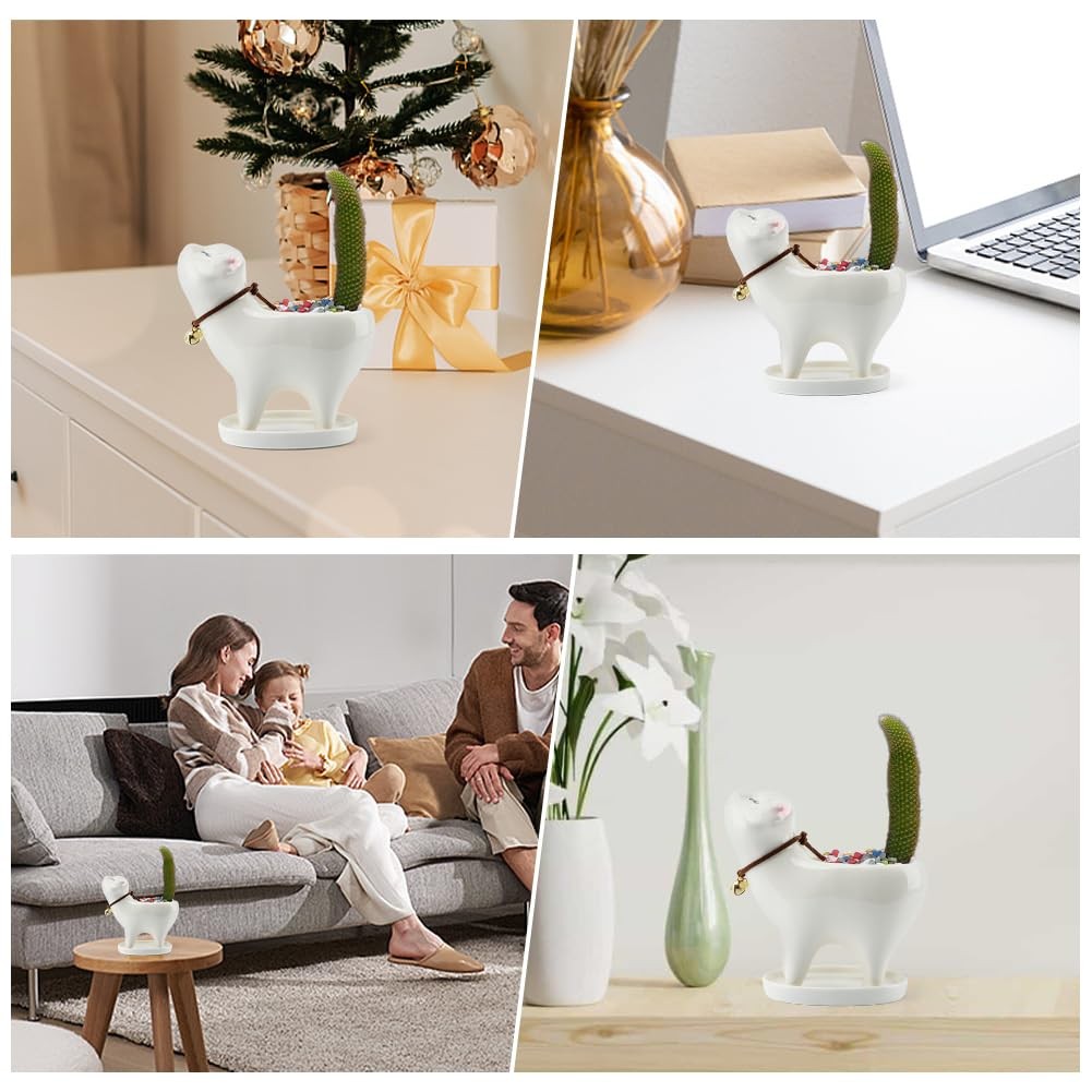 Unique Tailless Cat Little Planter Pot,Adorable free size, as picture show