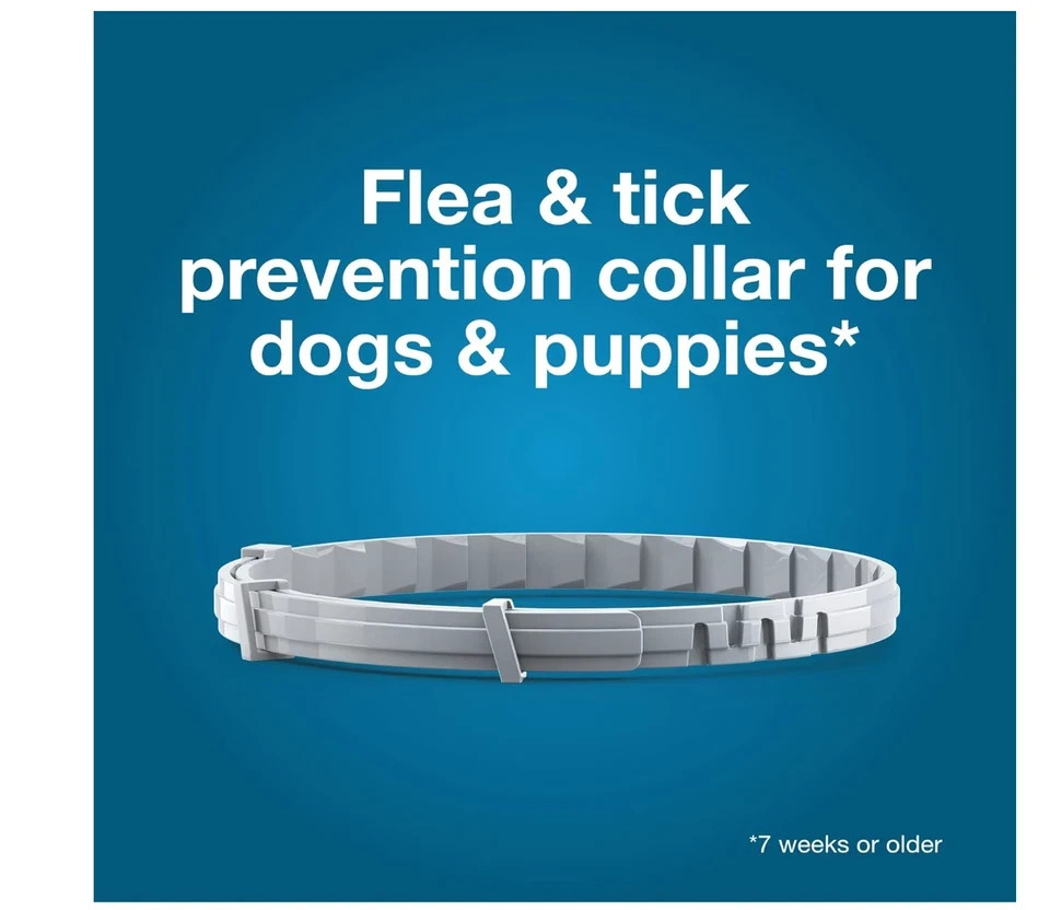 NEW Seresto Flea & Tick Collar for Dogs SIZE SMALL 8 MONTH PROTECTION