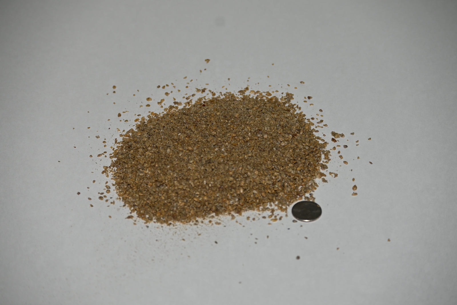 Ken’s Freeze Dried Daphnia