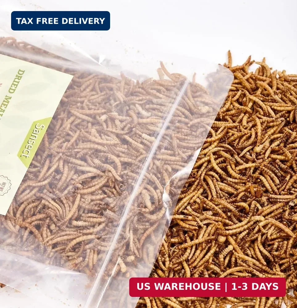 SANSECT 10 LB Dried Mealworms, 100% Natural, Non-GMO Mealworms for Chickens-High