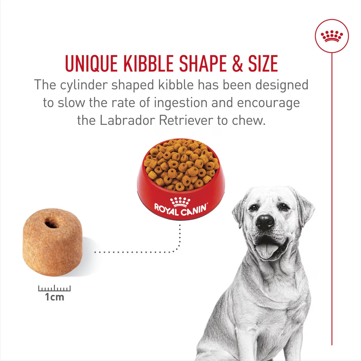Royal Canin Breed Health Nutrition Labrador Retriever Adult Dry Dog Food 30 Lb