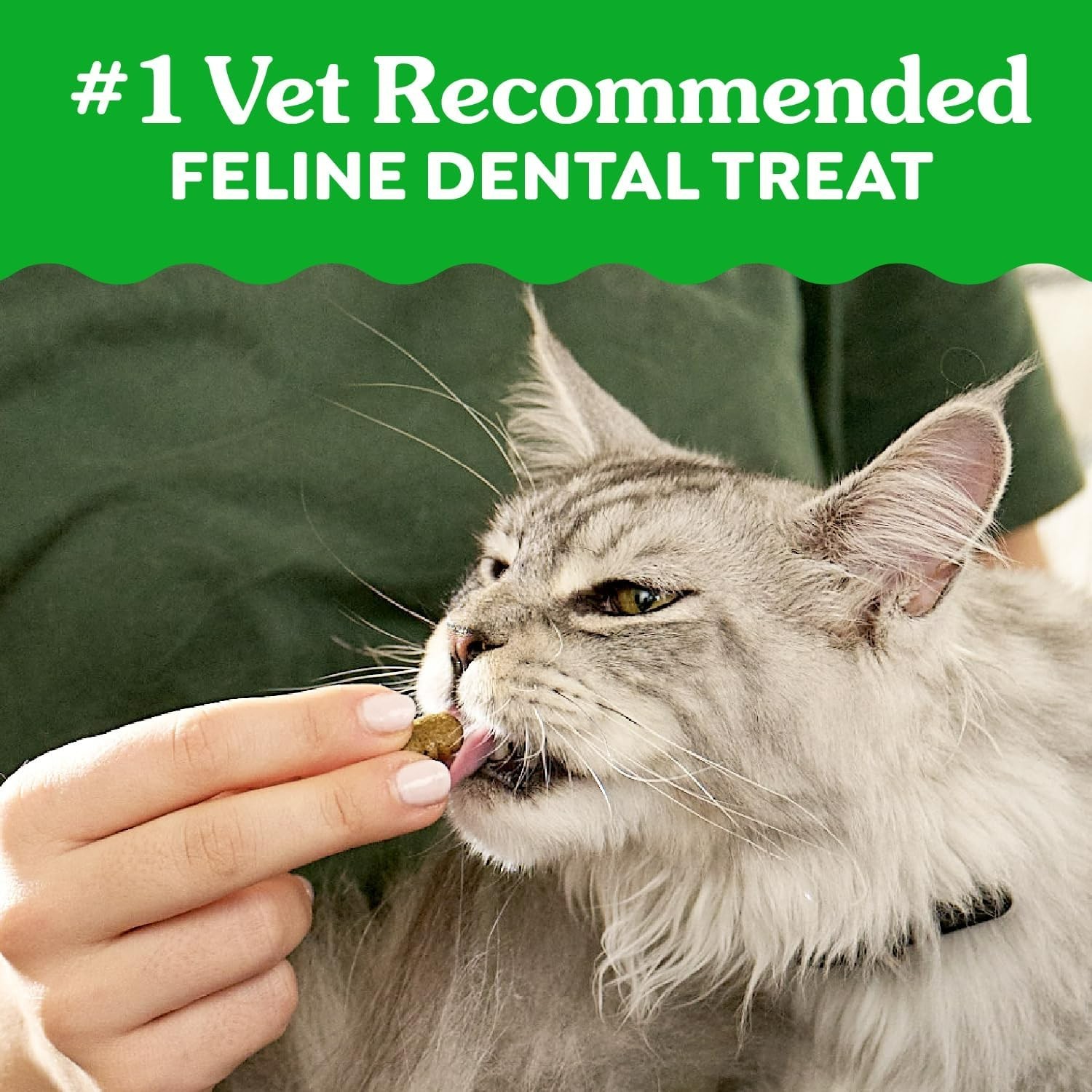 Feline Veterinarian-Recommended Adult Natural Dental Cat Treats, Oven Roasted…