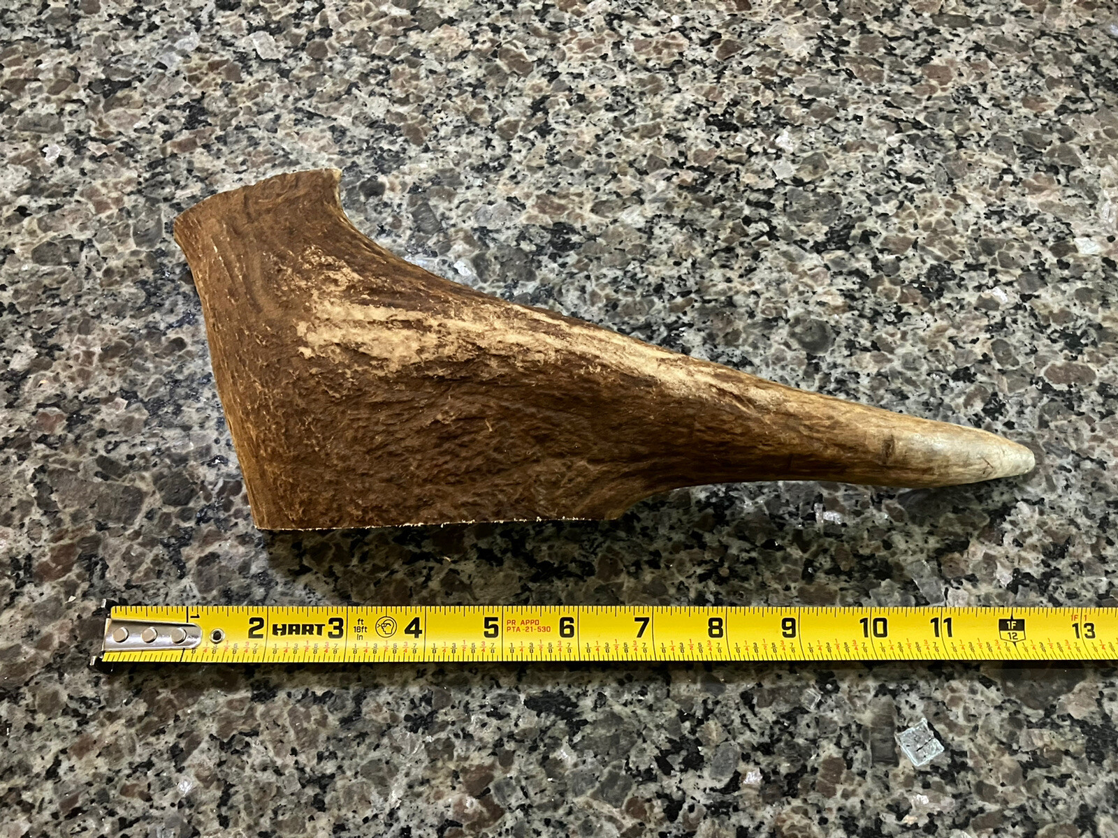2 Pounds of Maine Moose Antler Dog Chews! XL / Large / Medium Dogs!