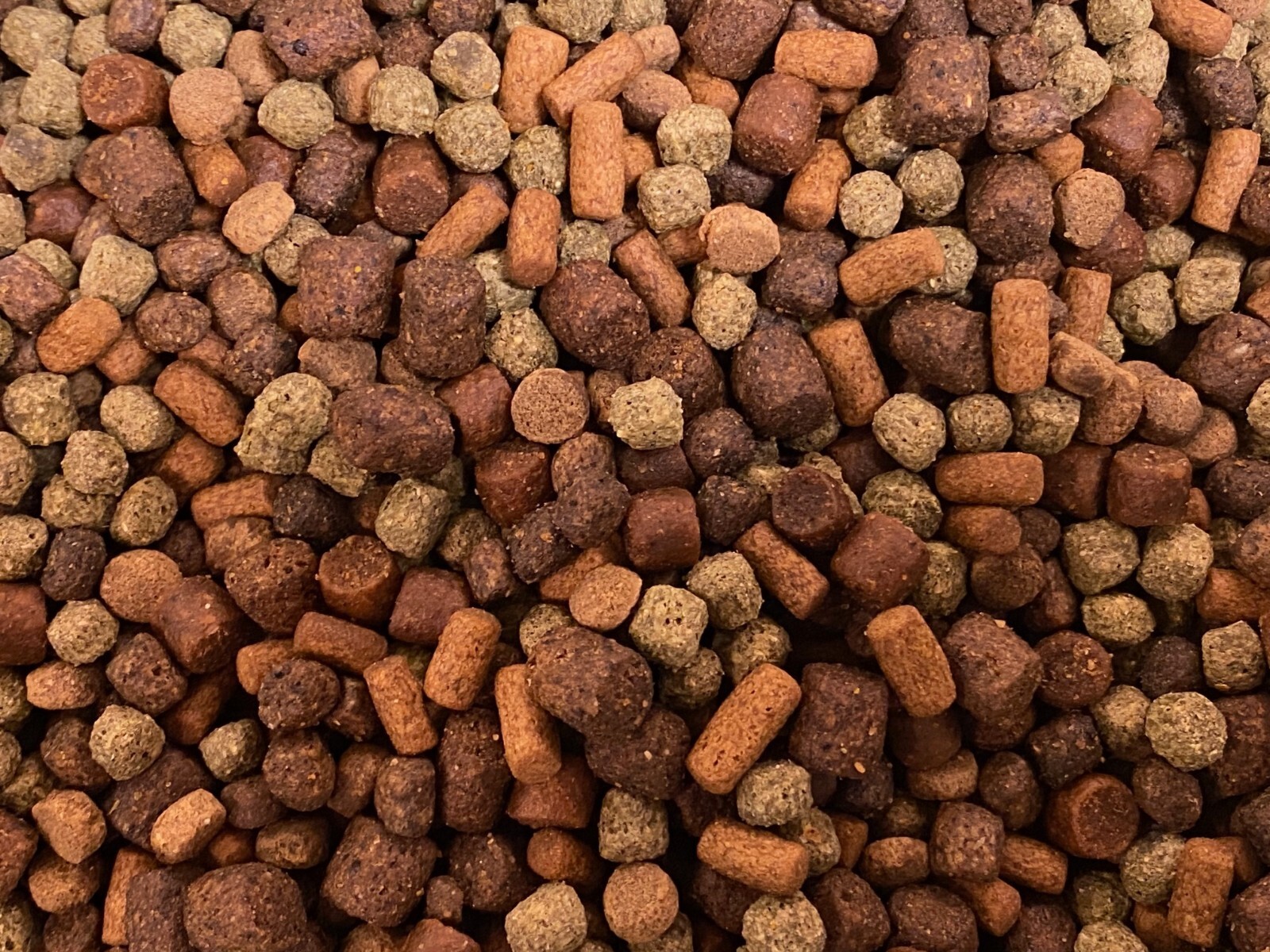 ABF GOURMET FLOATING/SINKING LARGE MIX,Cichlids,Carnivore,Spirulina,Krill,ABF91