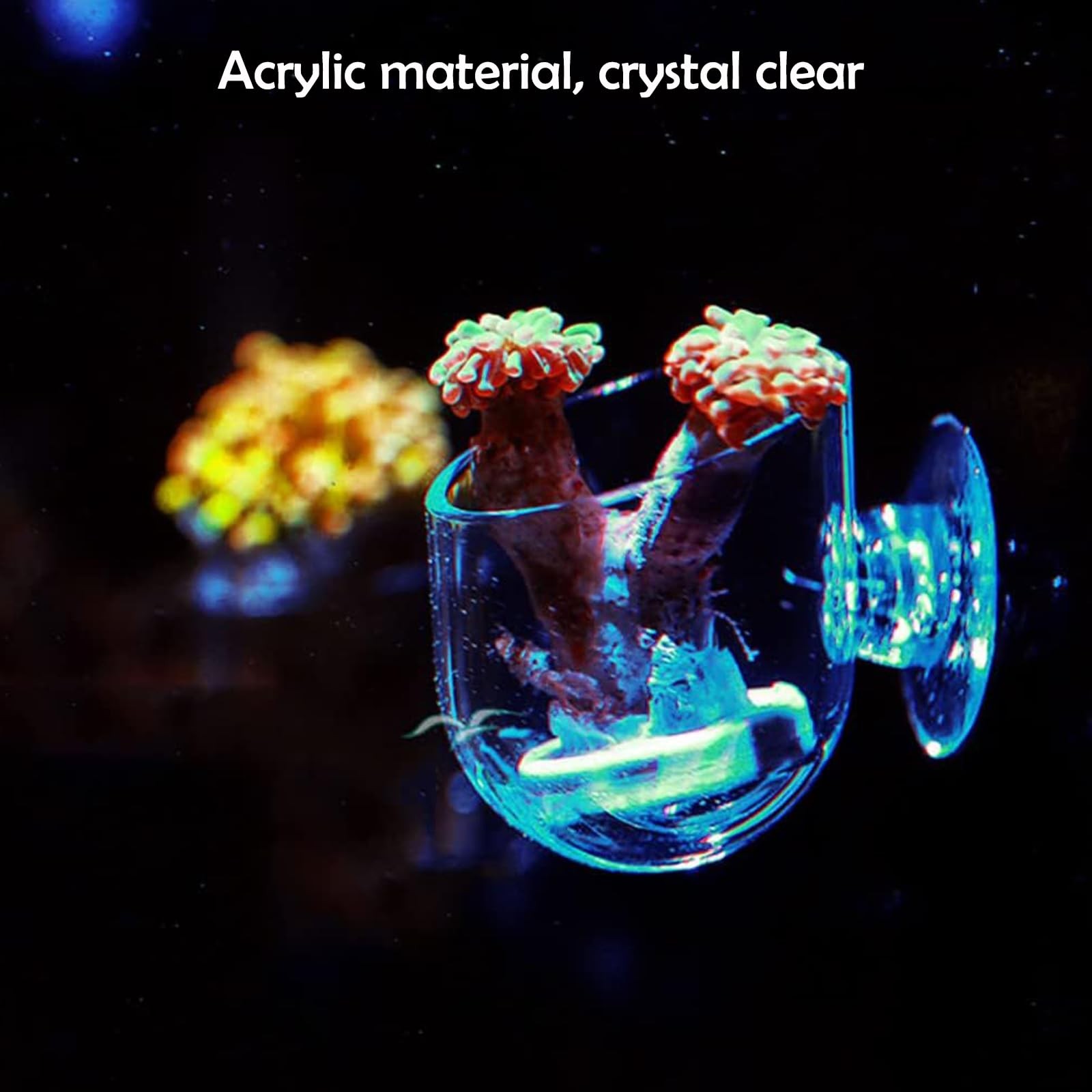 KABASI 3 Pack Aquarium Plant Holder Pot, Red Worm Fish Shrimp Feeder, Clear