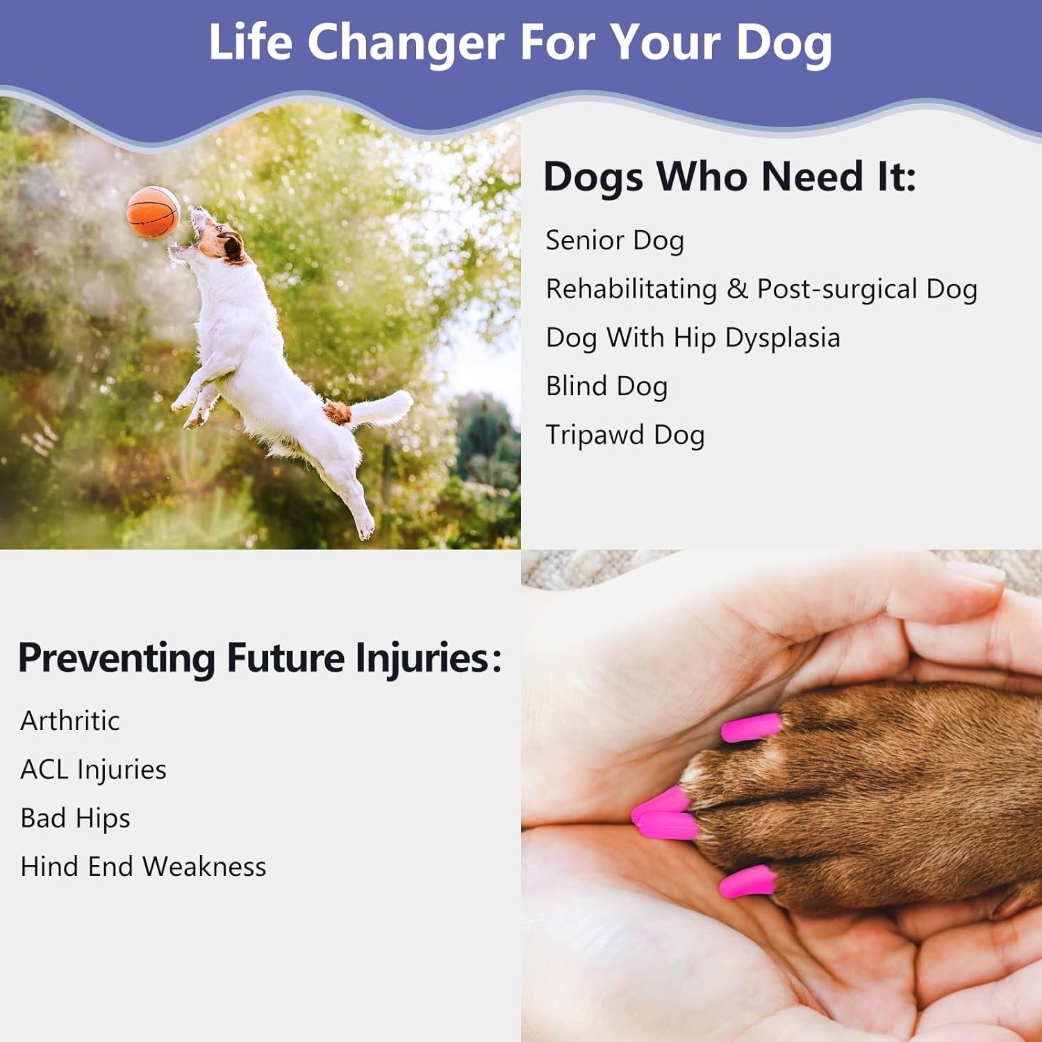 New Mottalia XL Dog Toe Nail Grippers Upgraded Anti-Slip with Stronger Traction