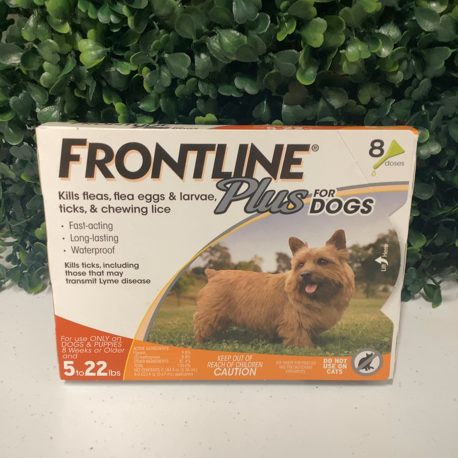 Frontline Plus for Dogs 5–22 lbs 8 Doses Flea & Tick