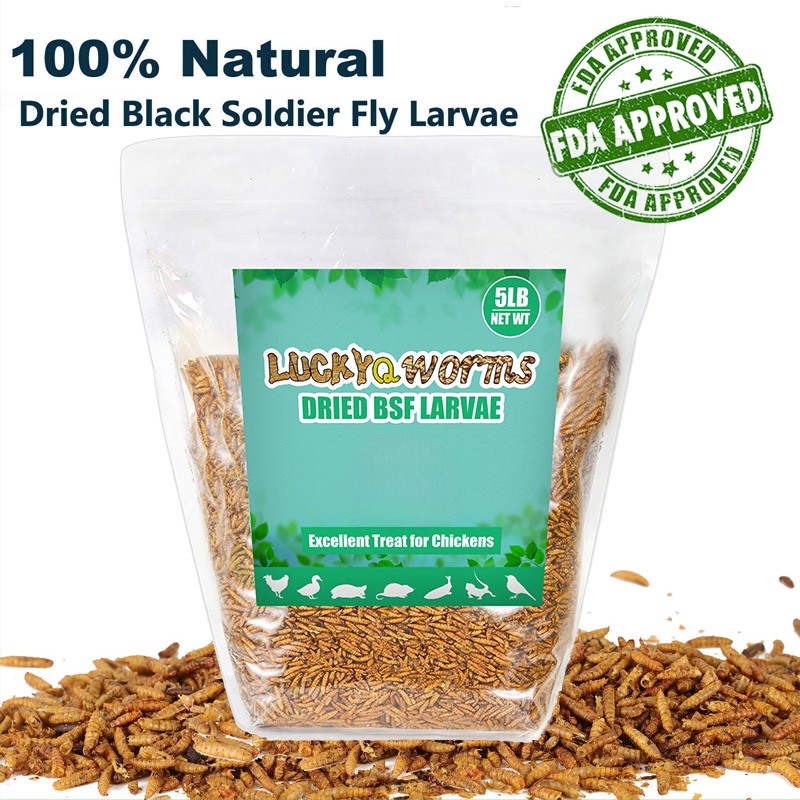 5-44 LBS Dried Black Soldier Fly Larvae for Chickens Birds Reptiles Food Treats