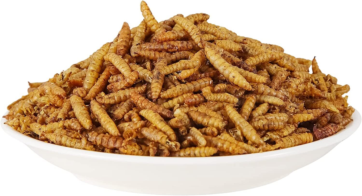 Bulk Premium Dried Black Soldier Fly Larvae Mealworm for Chicken HighCalcium LOT
