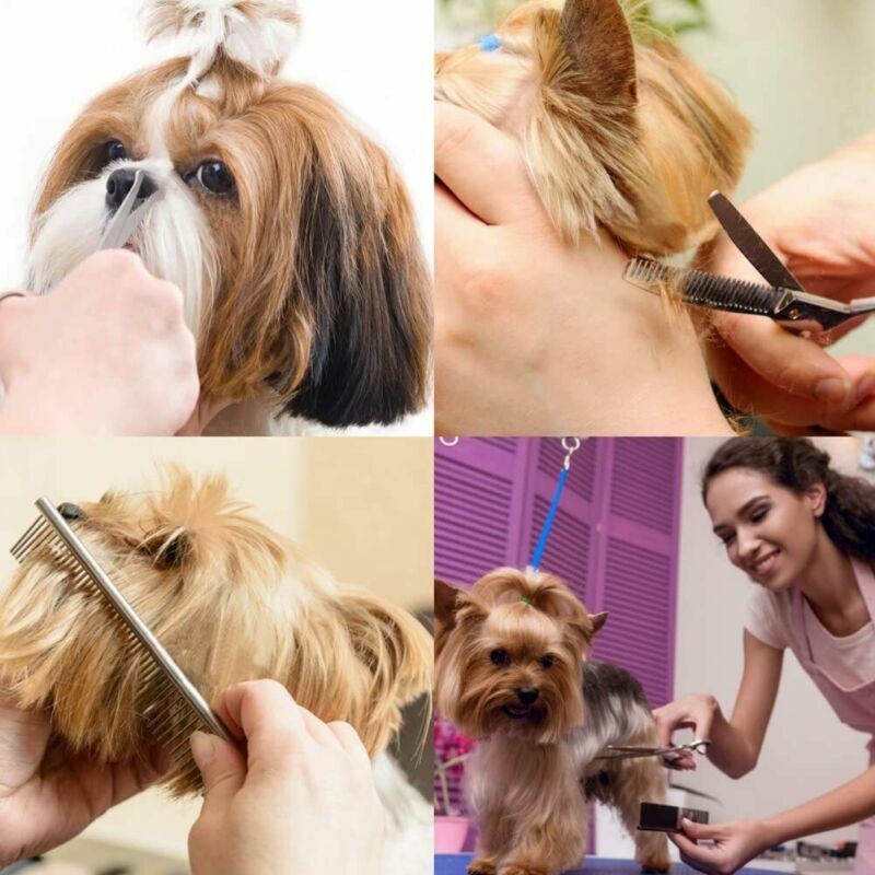 Professional Pet Dog Grooming Combs Scissors Kit Straight Curved Thinning Shears