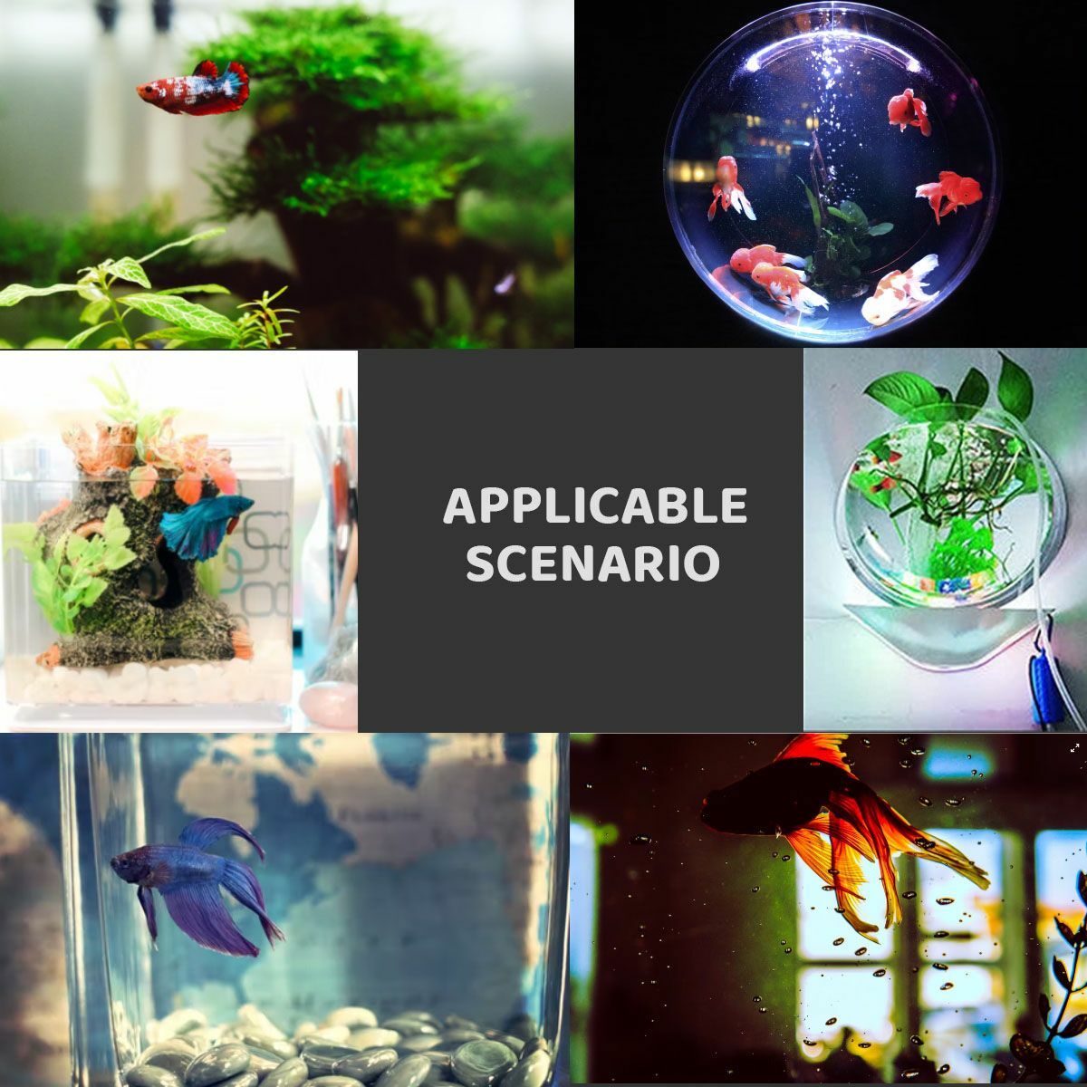 2 in 1 USB Mini Air Pump Water Pump Oxygen Aerator Aquarium Fish Tank Portable