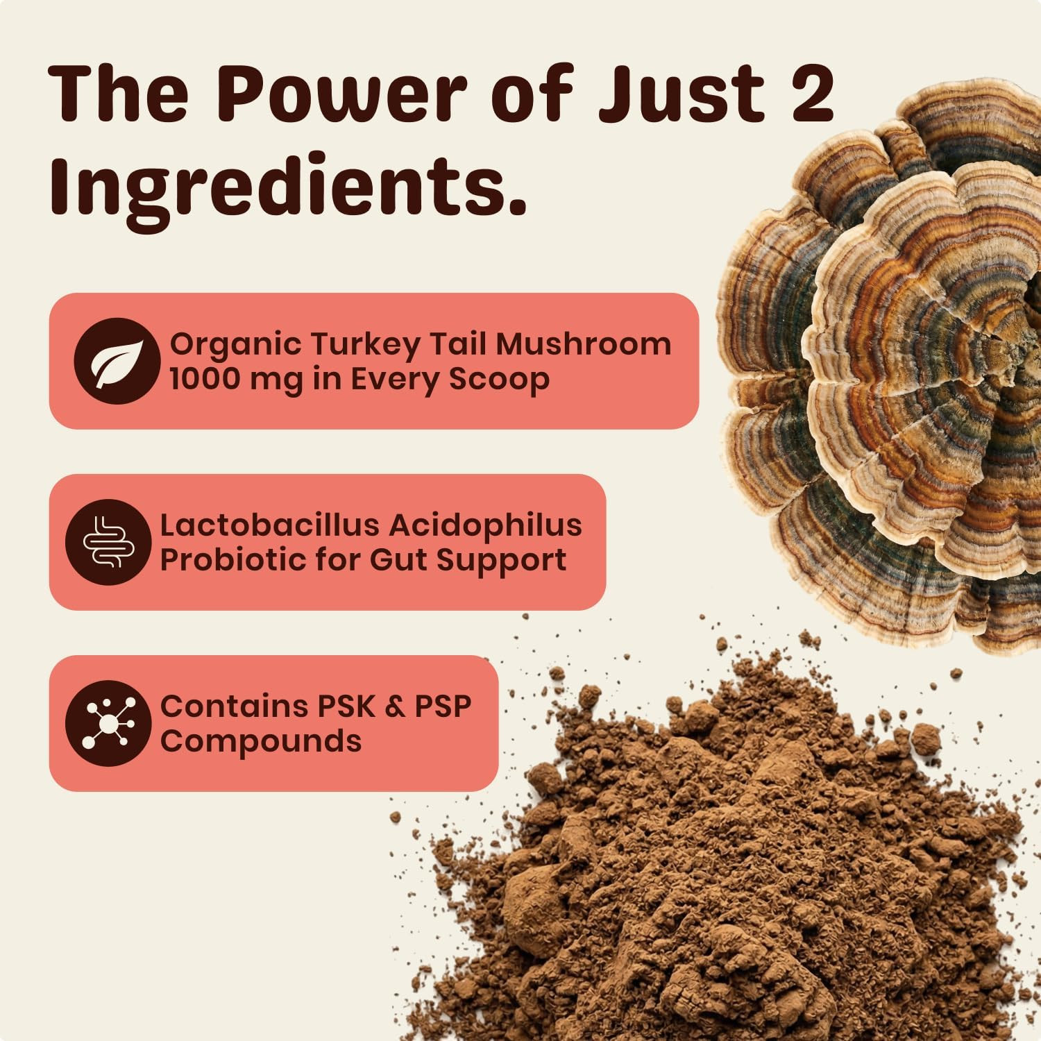 Turkey Tail Mushroom for Dogs – Turkey Tail Mushroom Powder with Probiotics for