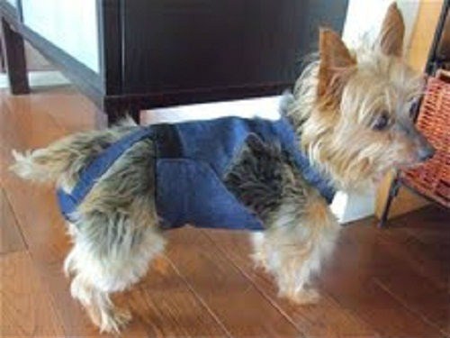 PeeKeeper Escape Proof Dog Diapers for Male and Female, Stay On Dog Diapers
