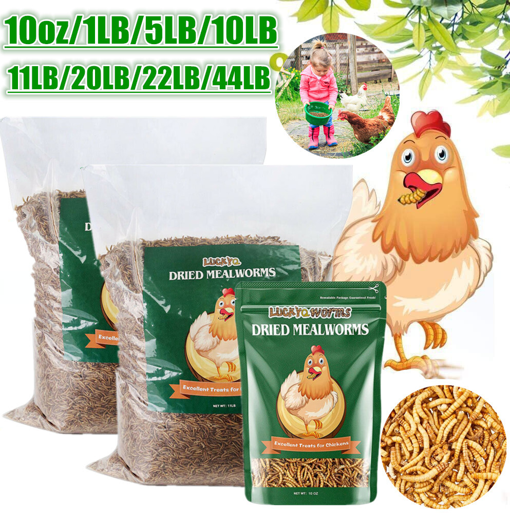 Dried Mealworms Bulk Non-GMO Organic for Wild Blue Bird Food Chickens Hen Treats