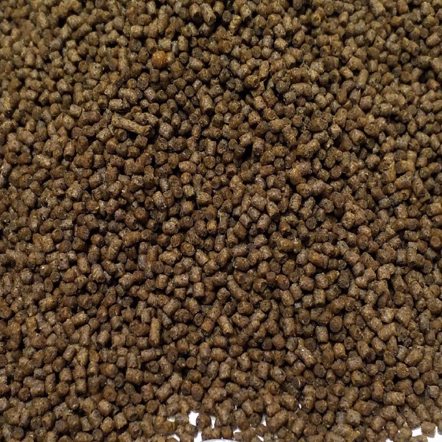 50% Protein Cichlid Floating/Sinking Pellets, Baby Koi, 1.5mm – 1/16″